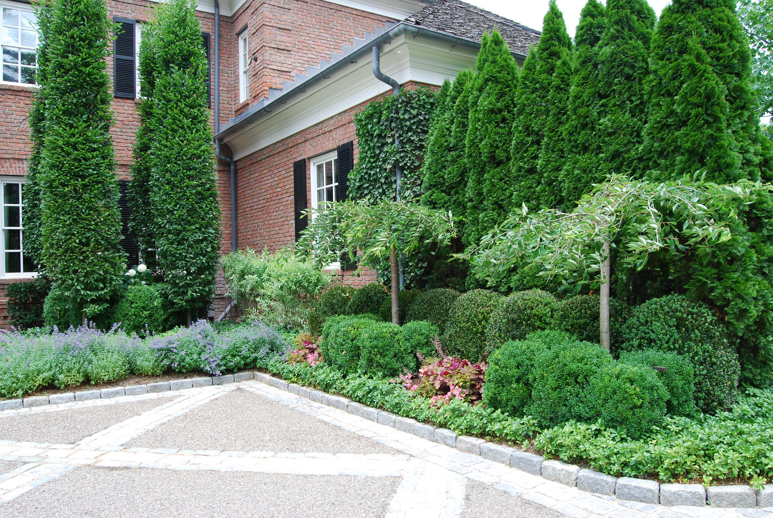 Хвойные растения в саду: Выбор и применение