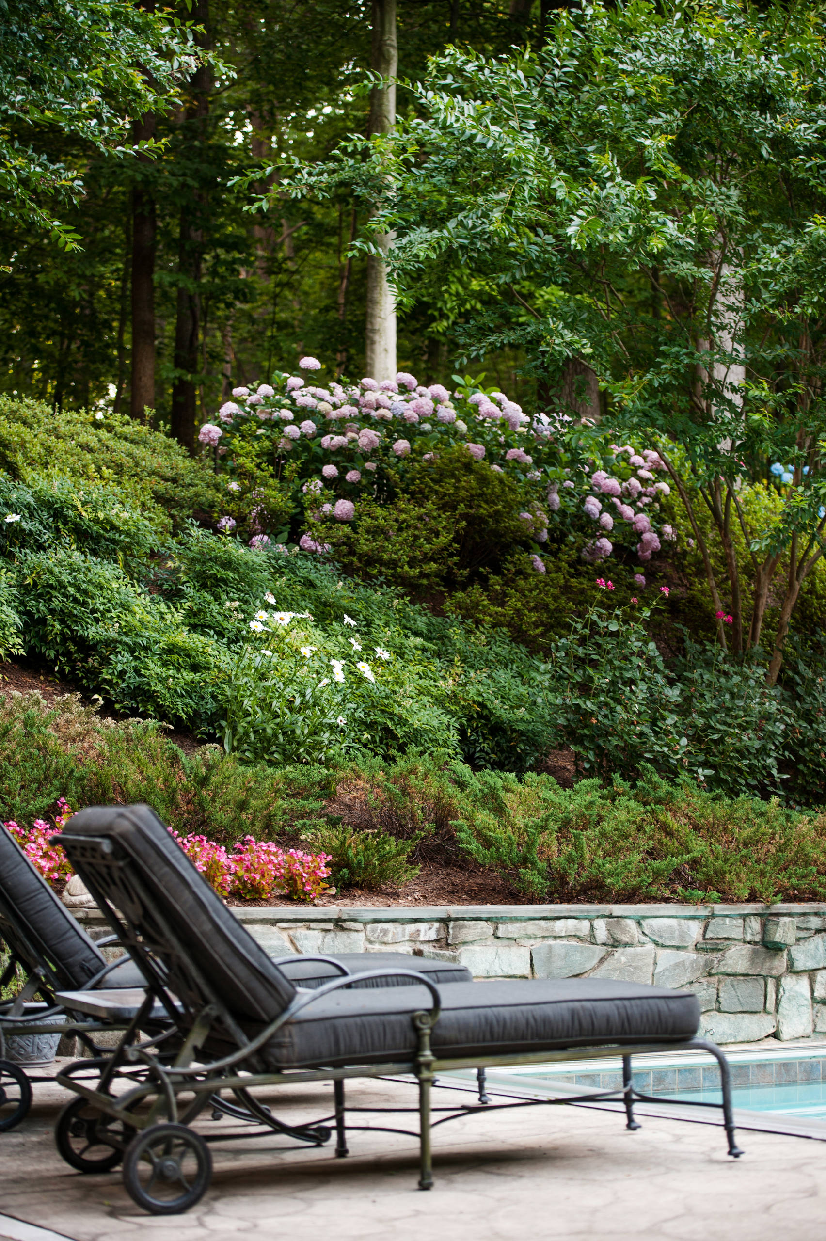 Хороший вопрос: А стоит ли бороться с сорняками на дачном участке