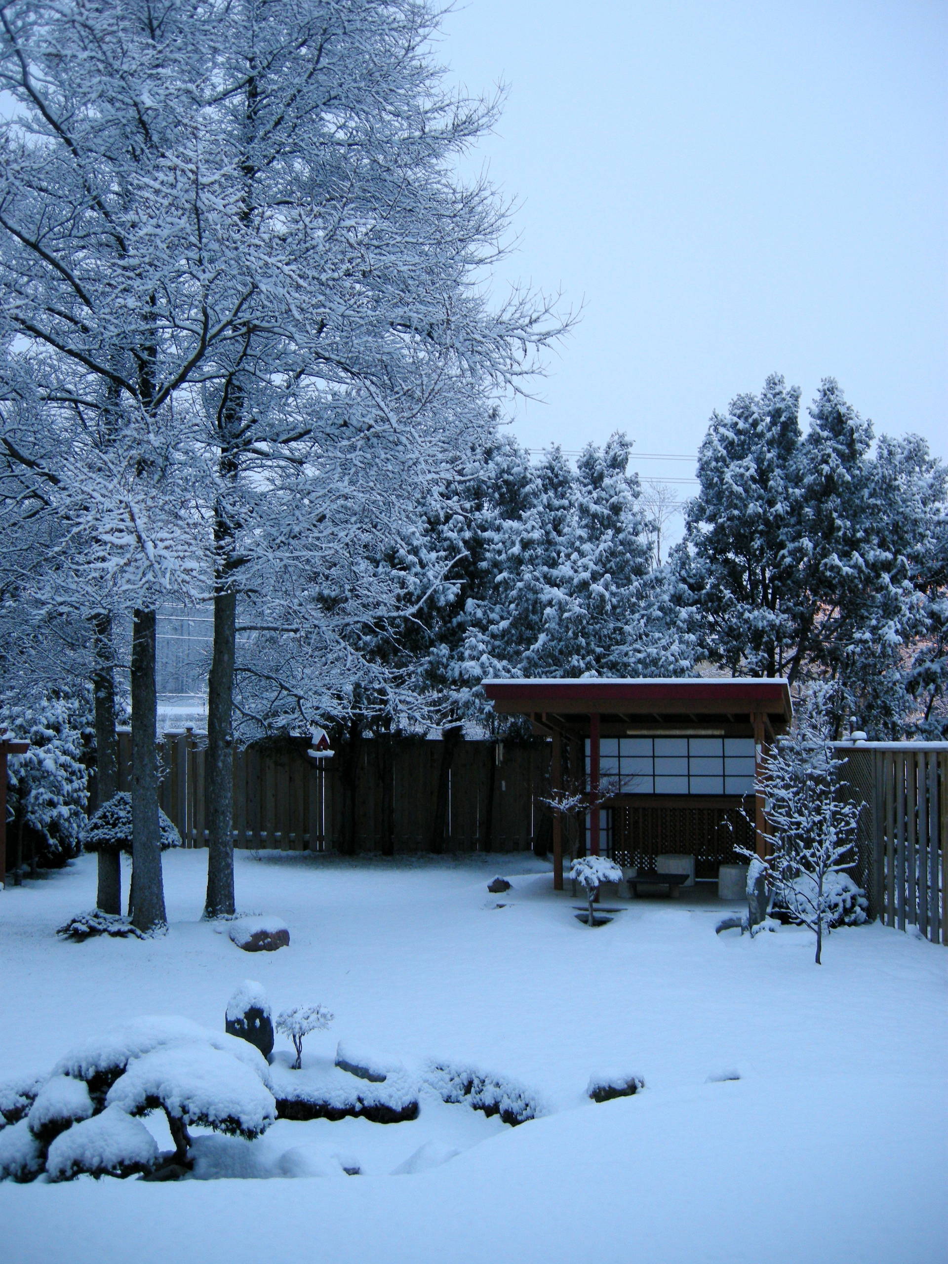 Работа над ошибками: Что пошло не так с деревьями