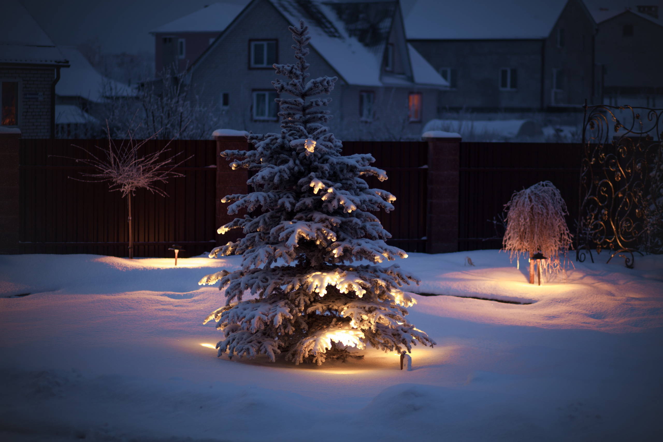 Новогодние праздники в саду — идеи зимнего декора для улицы