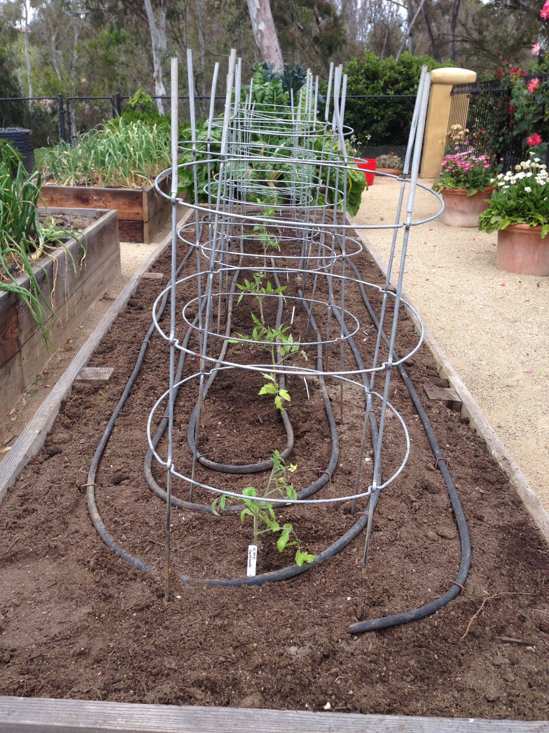 Как пить дать: Планируем систему полива для участка