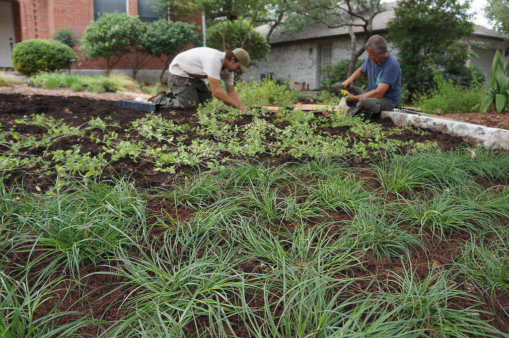 Приоритеты: Как ухаживать за садом, если у вас нет опыта