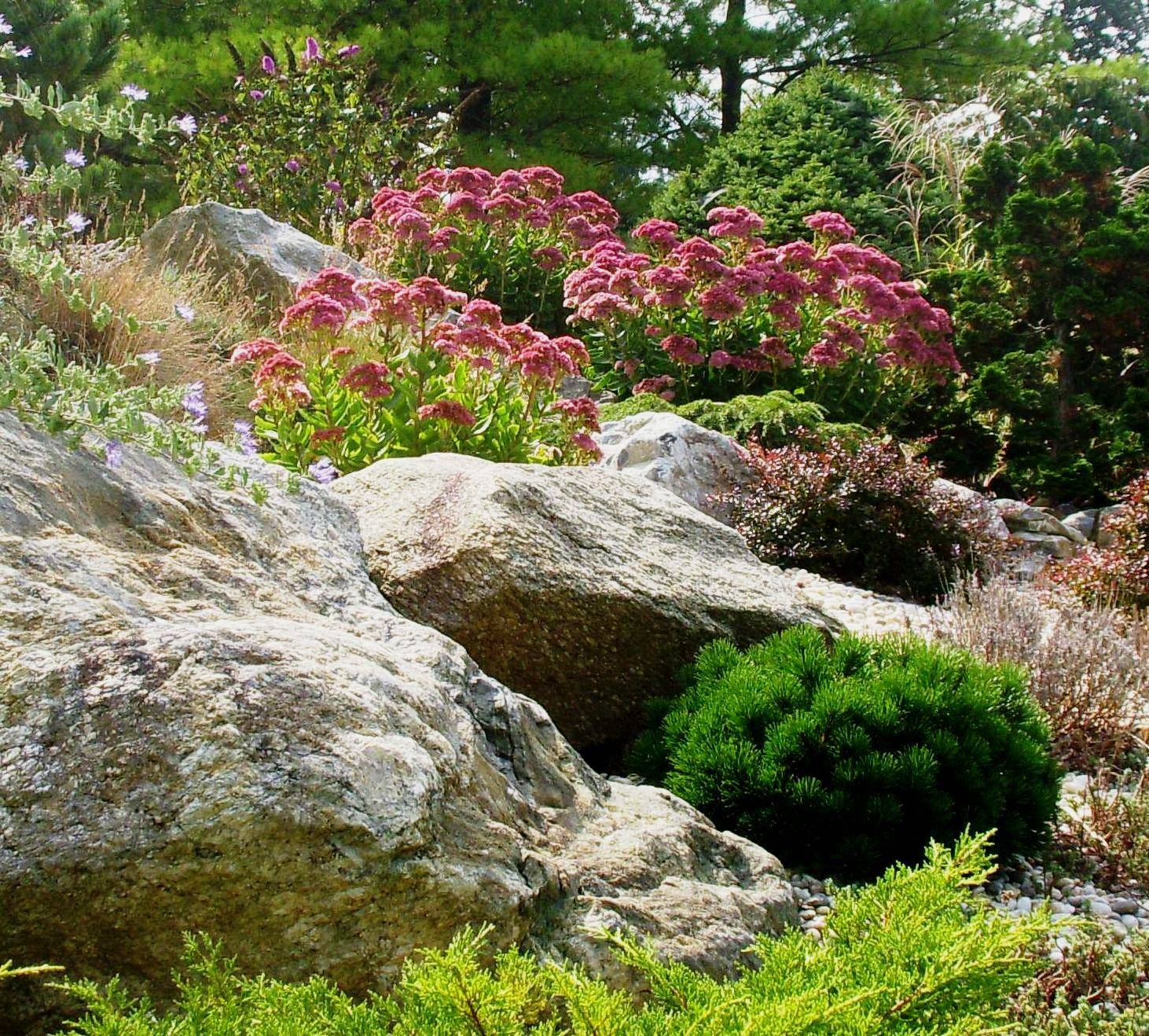 Камень в огород: Как использовать валуны в своем саду