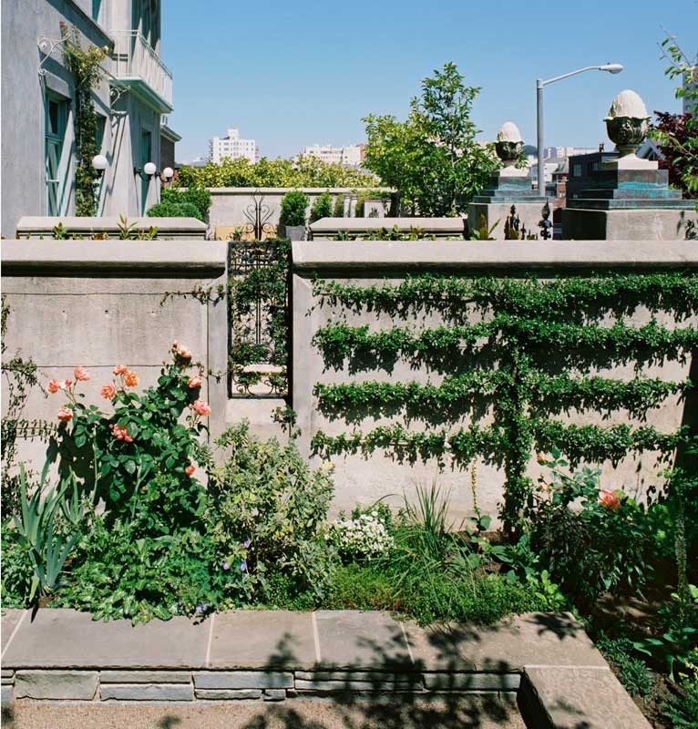 Огород на балконе: Как выращивать фрукты и овощи в городе