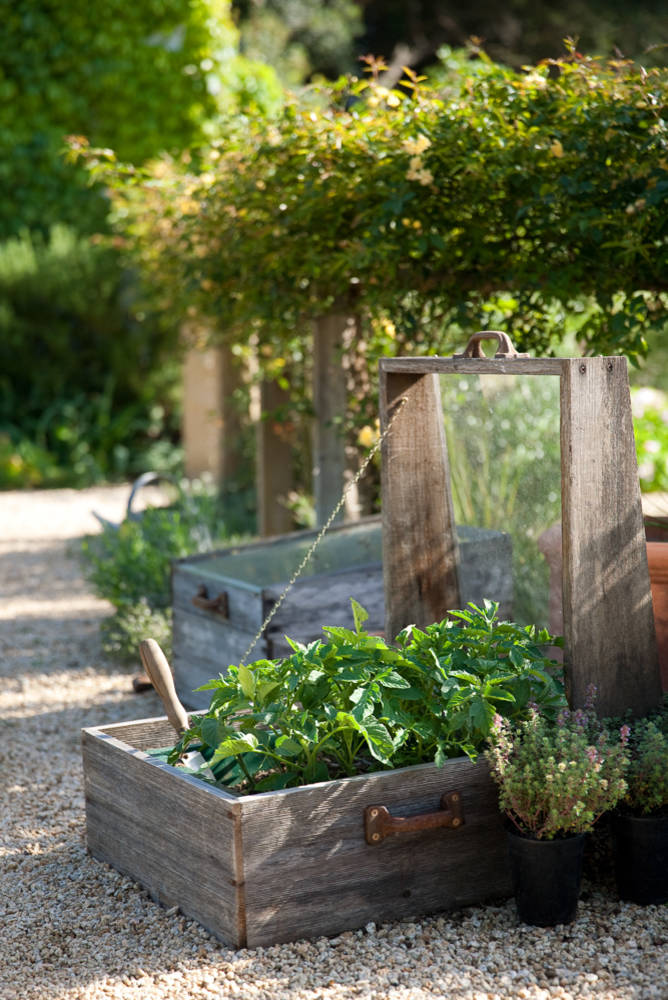 Солнечный дом: Теплица может быть красивой