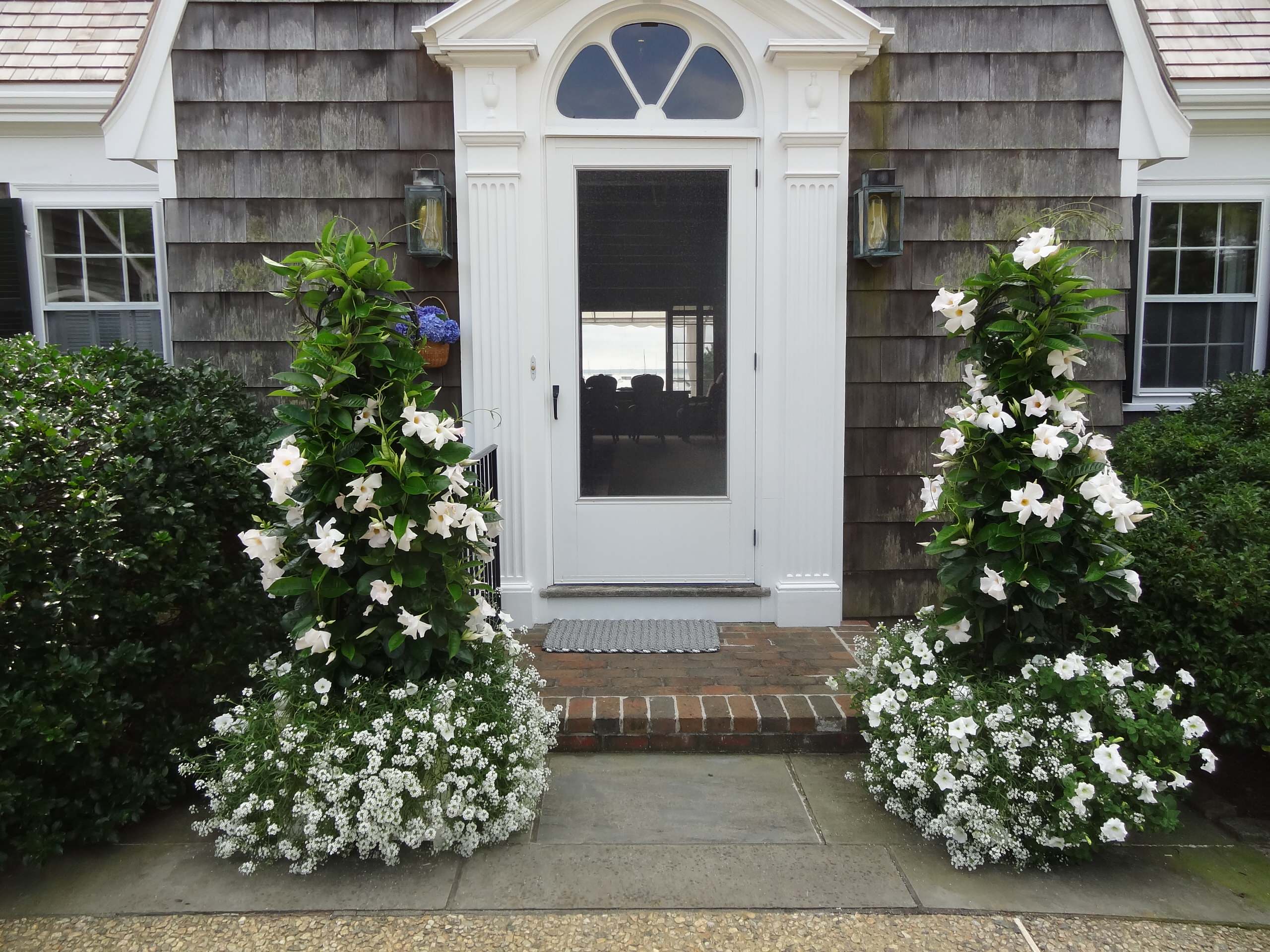 Вертикальная клумба: Полное руководство для начинающих и продолжающих