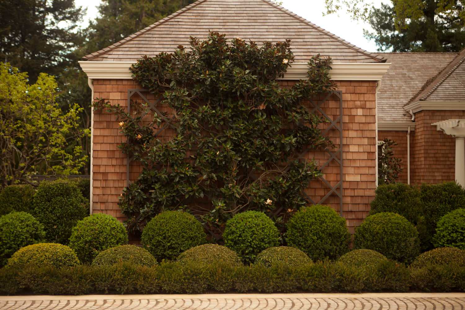 Шаром покати: Классические приемы украшения сада сферами