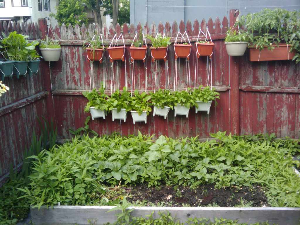 Горшку — место: 14 идей, куда можно поставить растения в кашпо