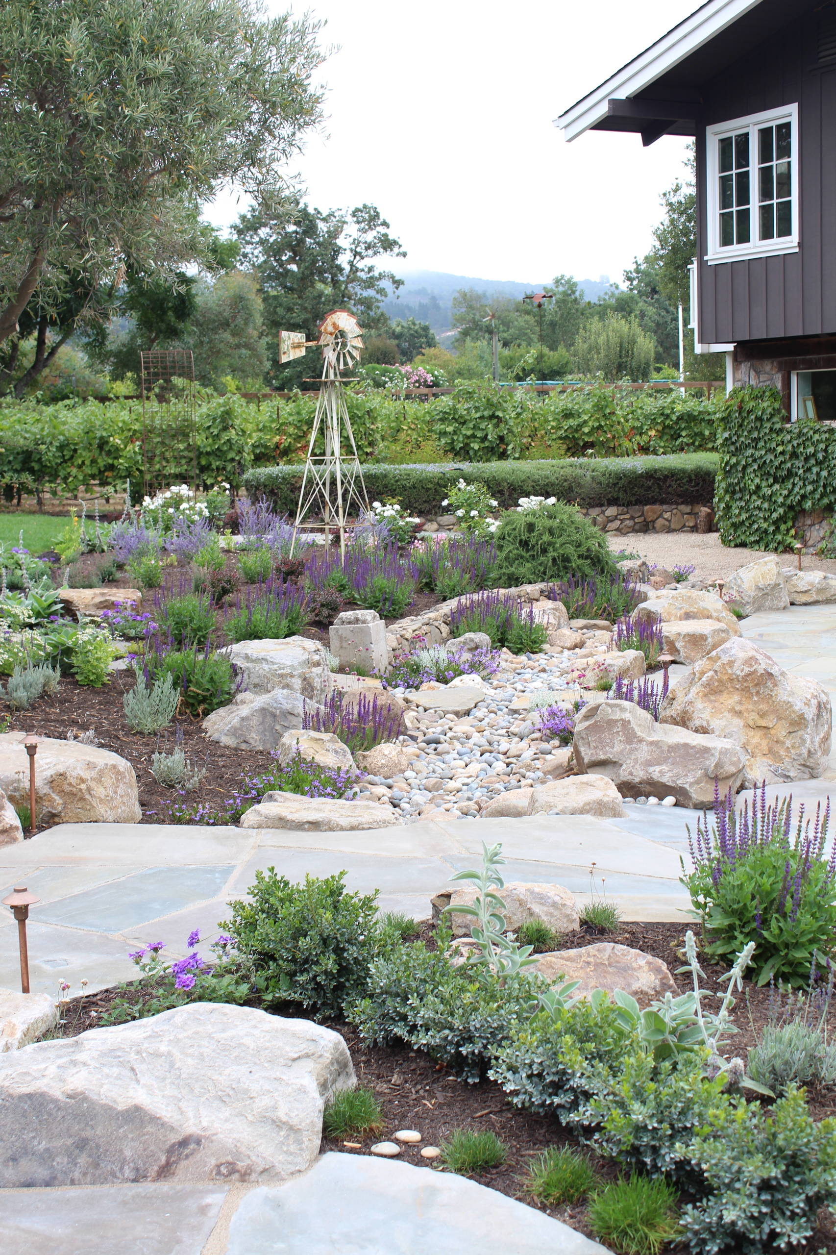 Засуха в саду: Ксероскейпинг — что об этом стоит знать