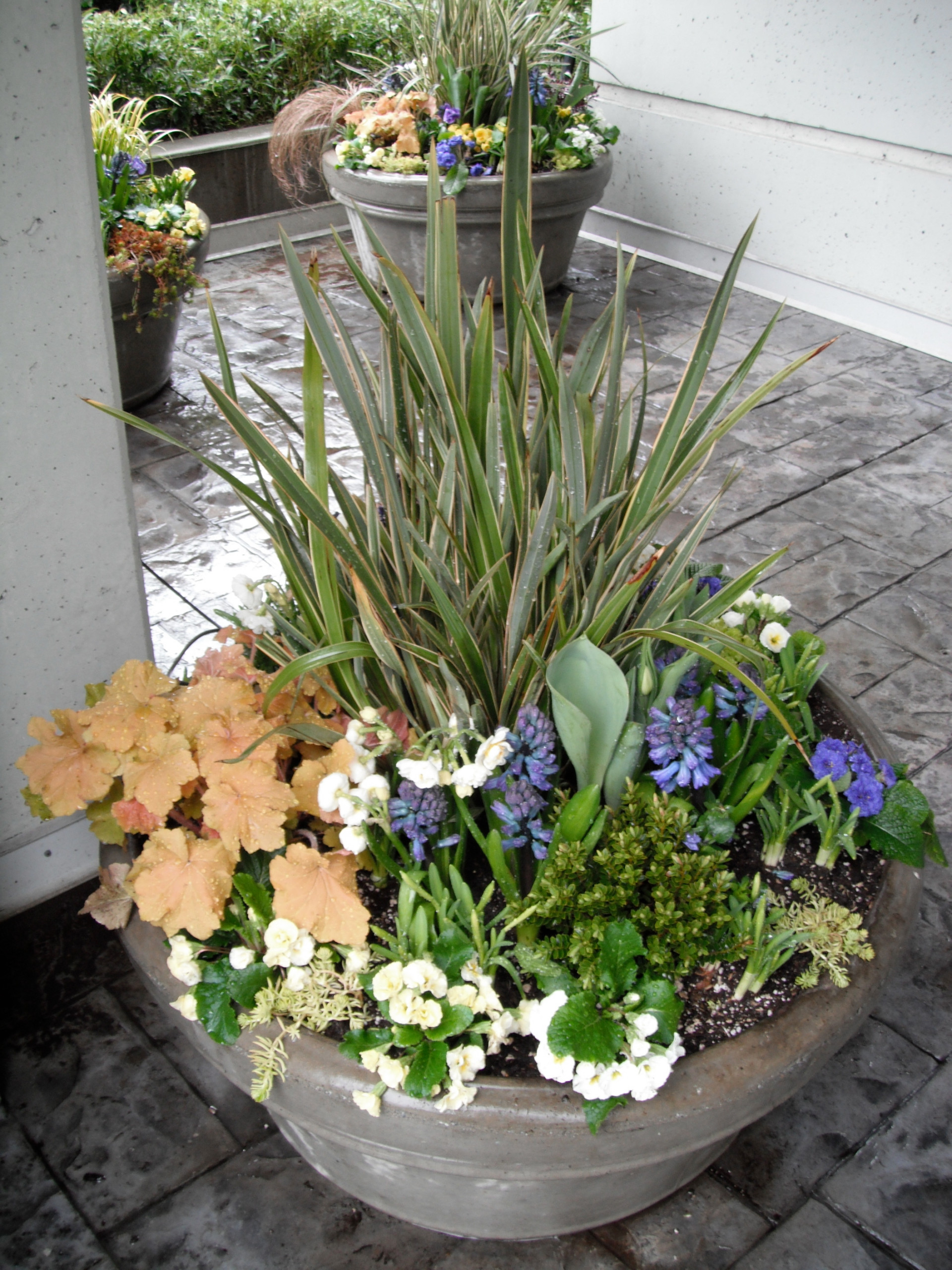 Вот и лето прошло: Что делать с растениями и уличными кашпо по осени