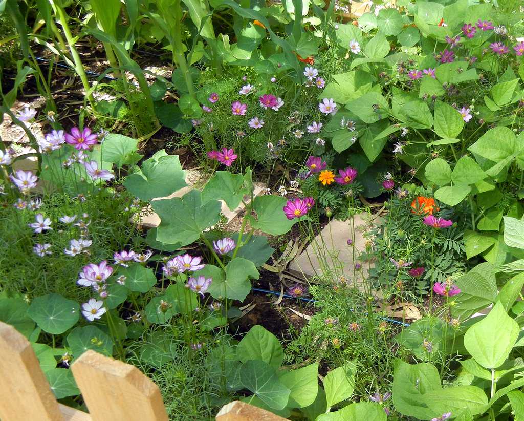 Как пить дать: Планируем систему полива для участка