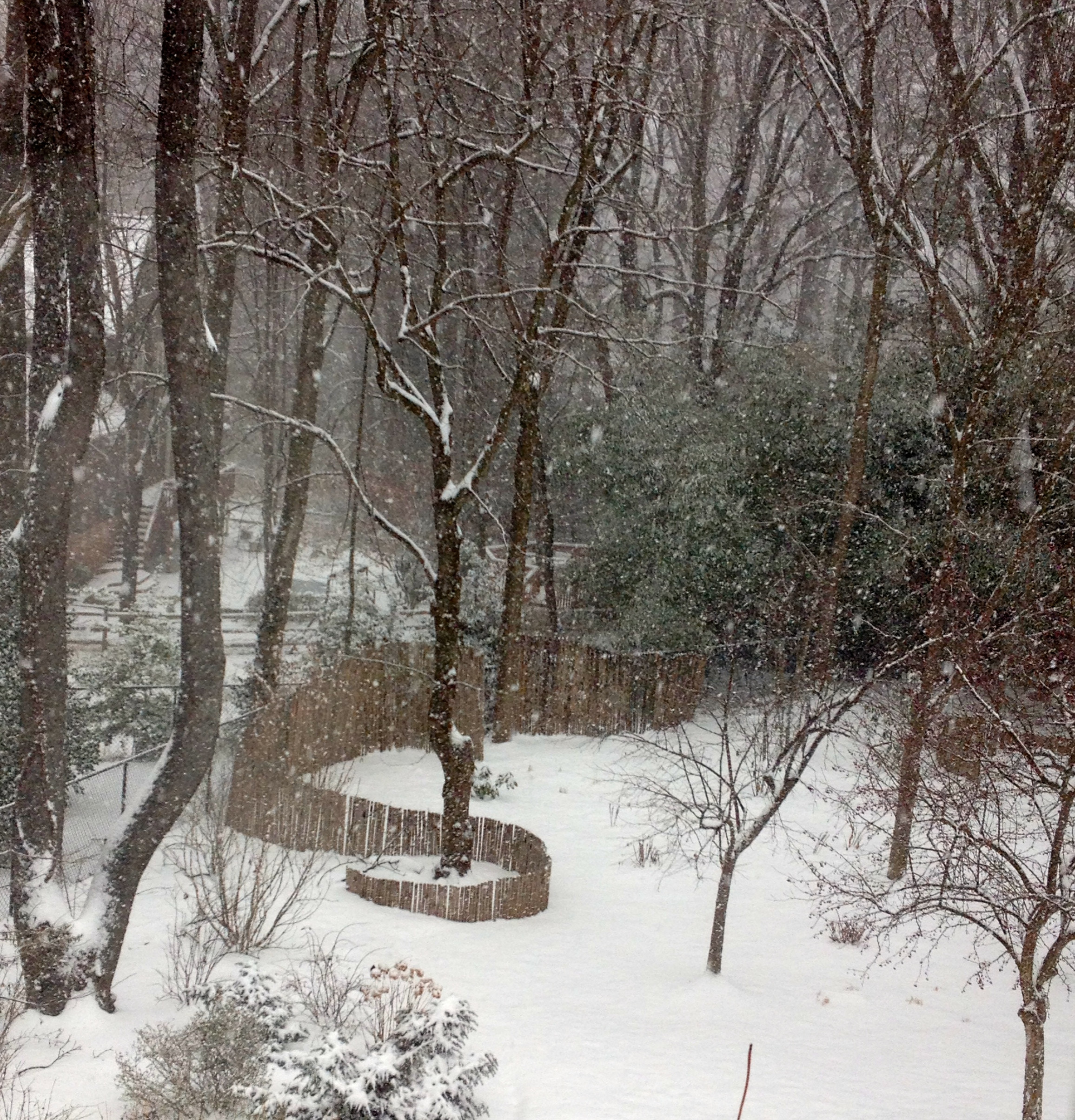 Как правильно: Использовать снег в саду