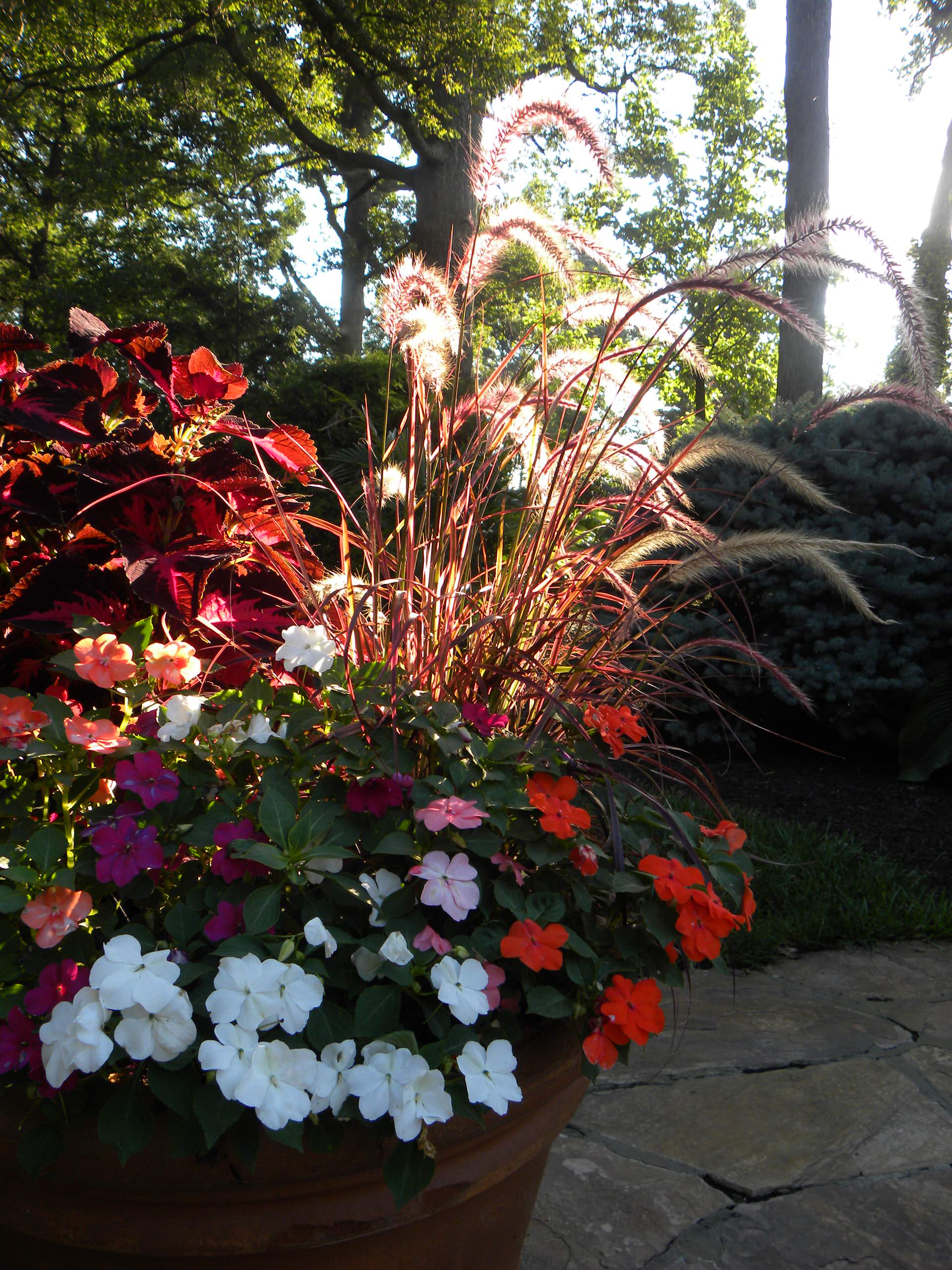 Вопрос: Можно ли вырастить полноценный сад в кадках