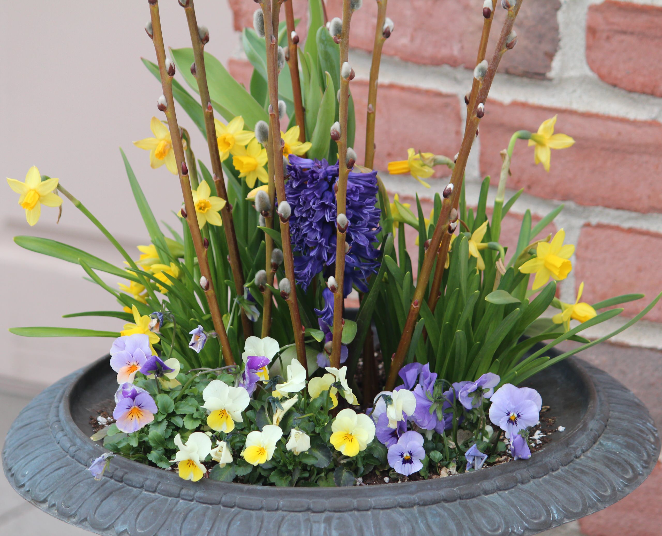 12 весенних композиций для сада в контейнере