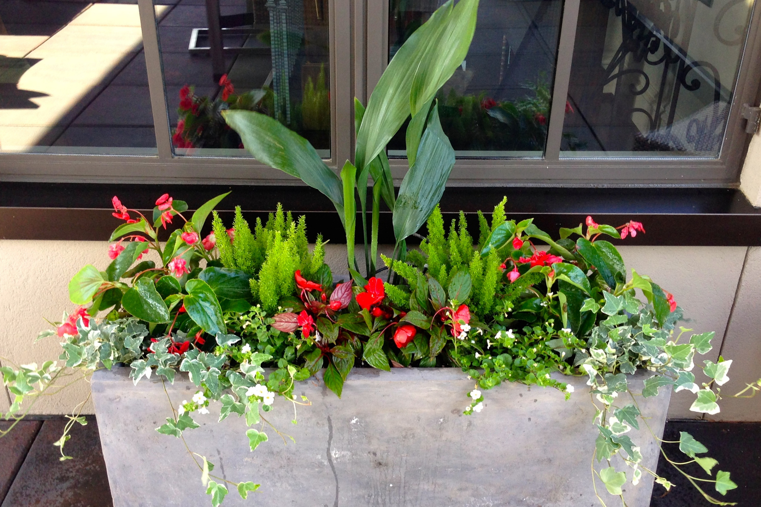 Зачем вам: Собирать бутылки для садового сезона