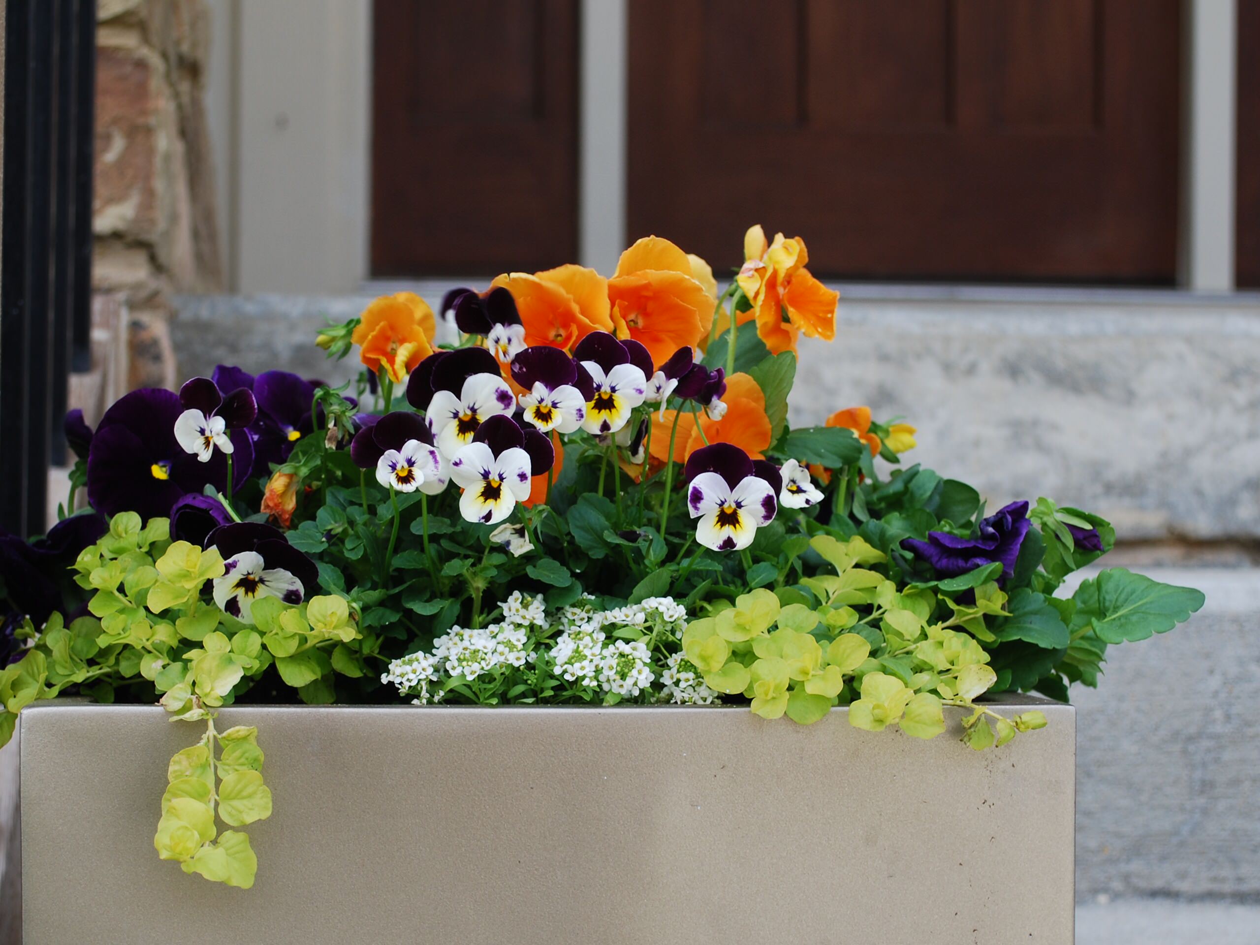 Вопрос: Как разбить сад за окном в цветочнице