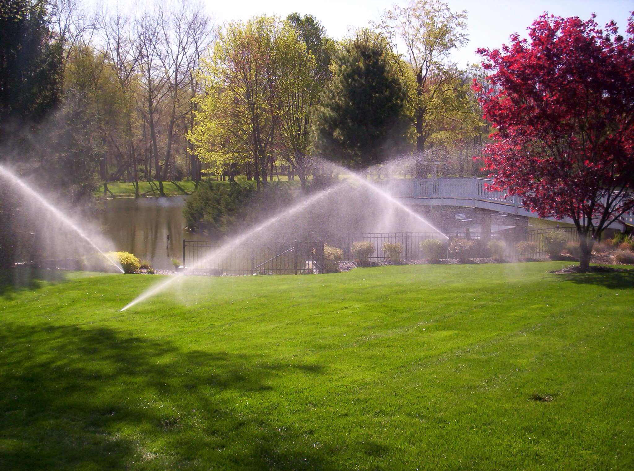 Как пить дать: Планируем систему полива для участка