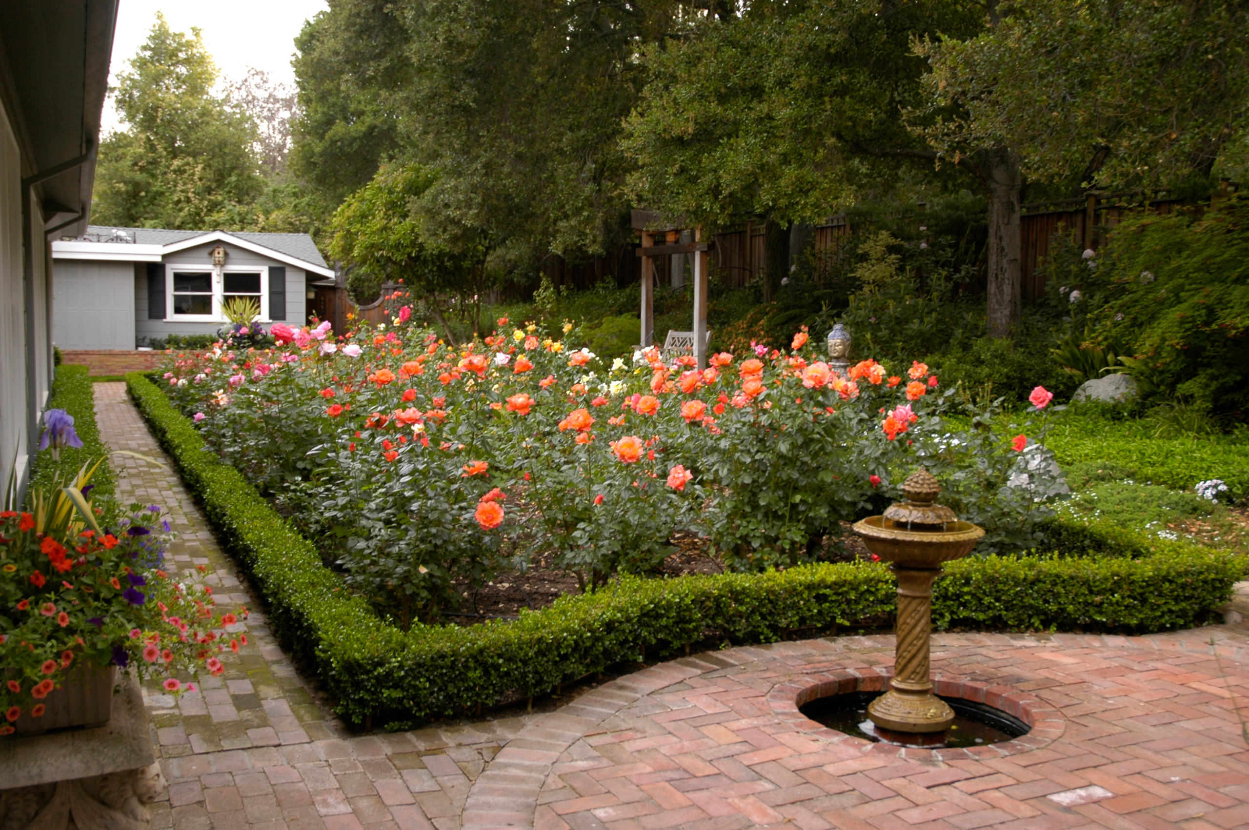 Розы в дизайне сада: Что они могут, а что нет