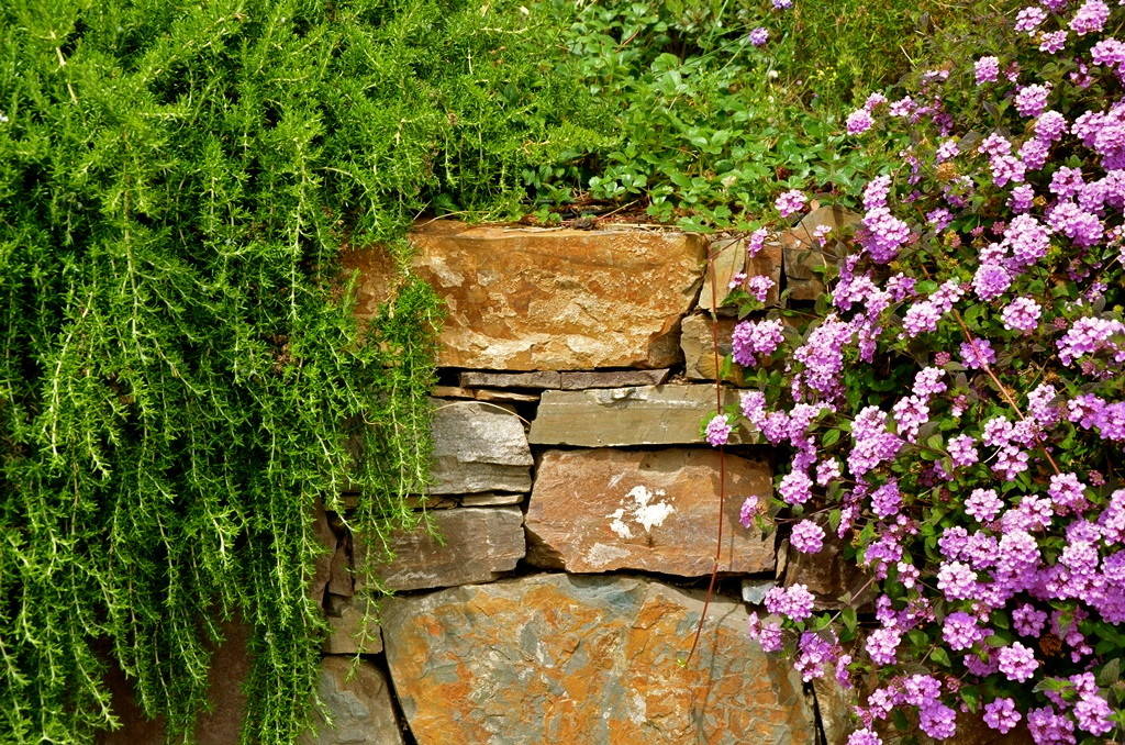 Азы садовода: Что такое подпорные стенки и какими они бывают