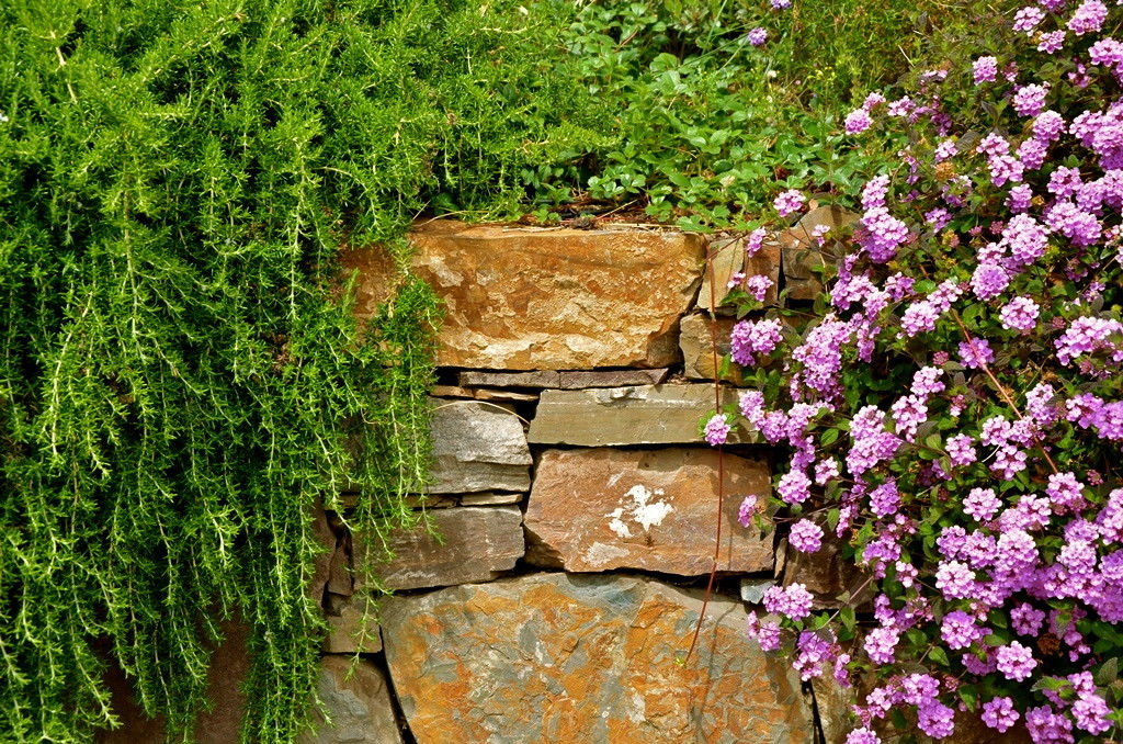 Азы садовода: Что такое подпорные стенки и какими они бывают