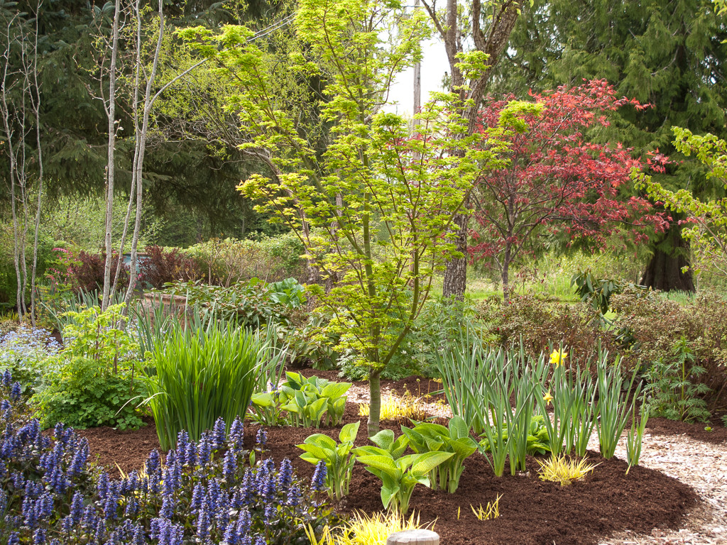 Работа над ошибками: Что пошло не так на клумбе