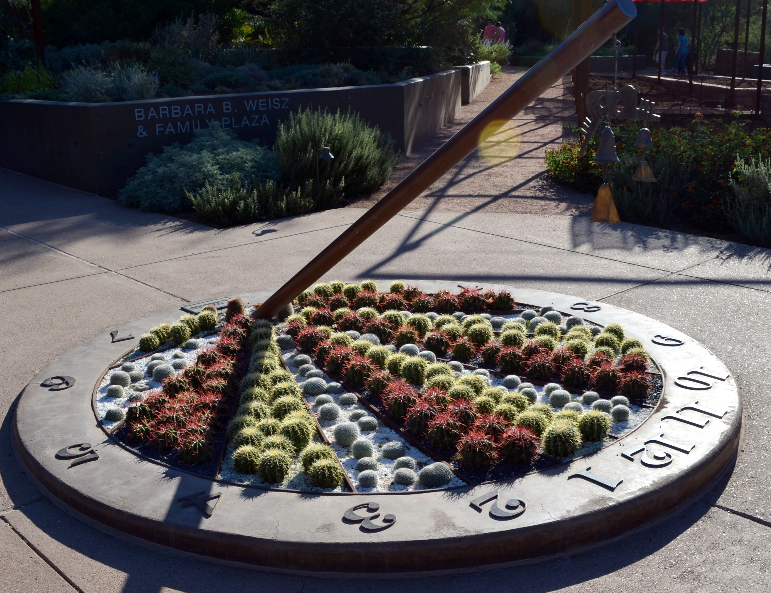 Как правильно: Сочетать растения по цвету на клумбе