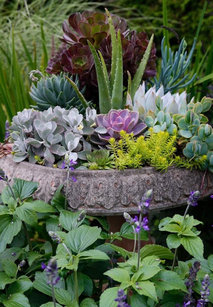 12 весенних композиций для сада в контейнере