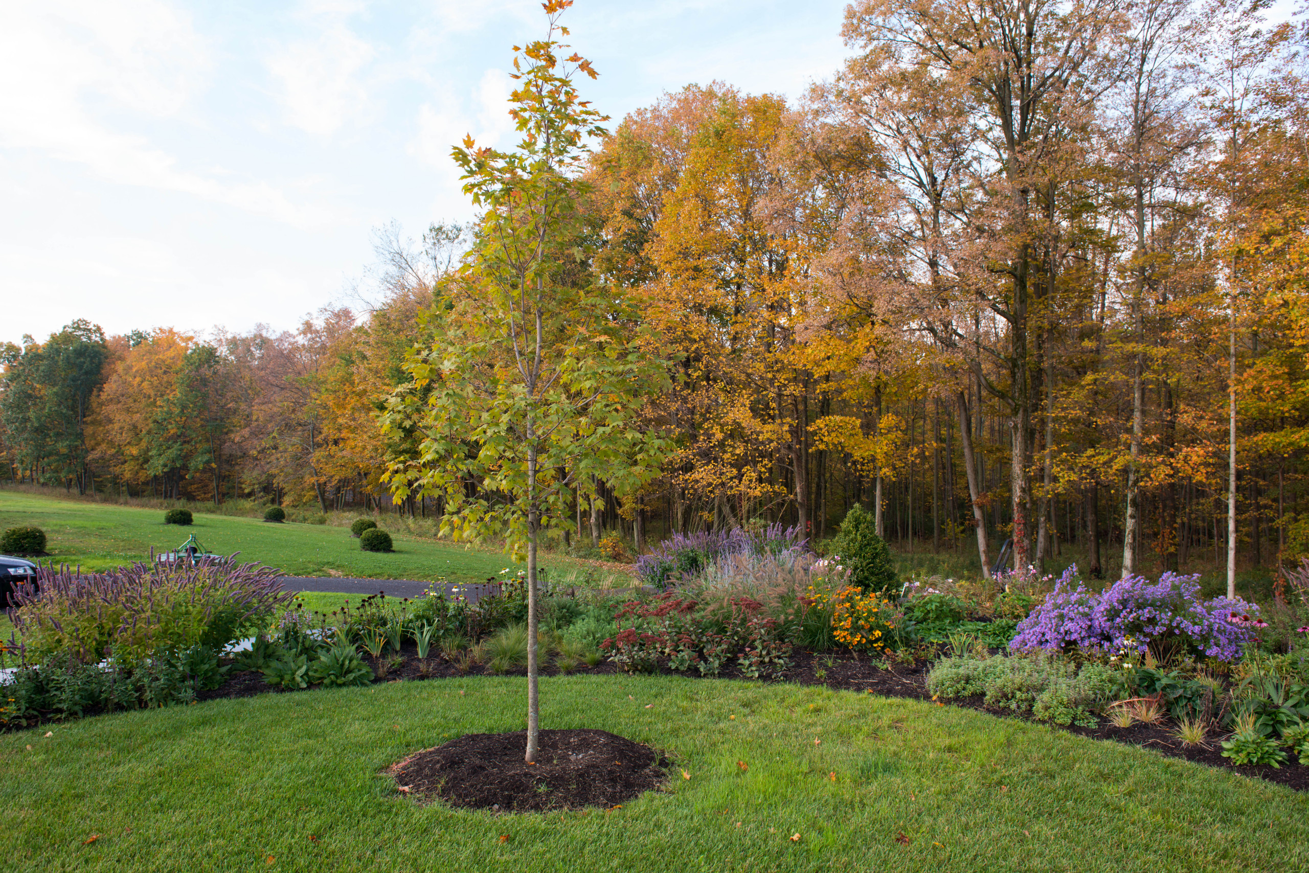 Готовимся к зиме: Последние приготовления в саду и в огороде