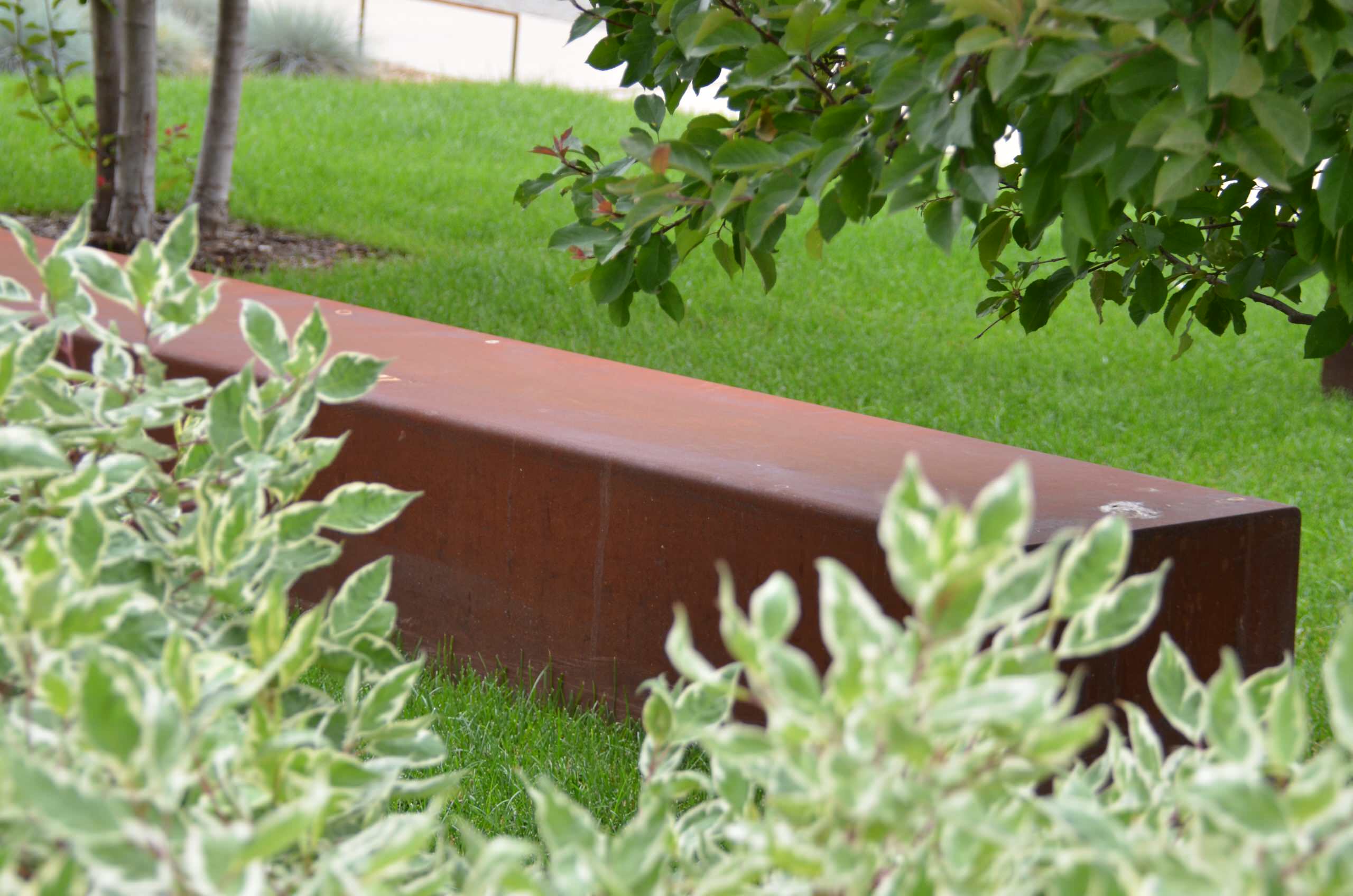 Уходим в тень: Теневыносливые растения для сада