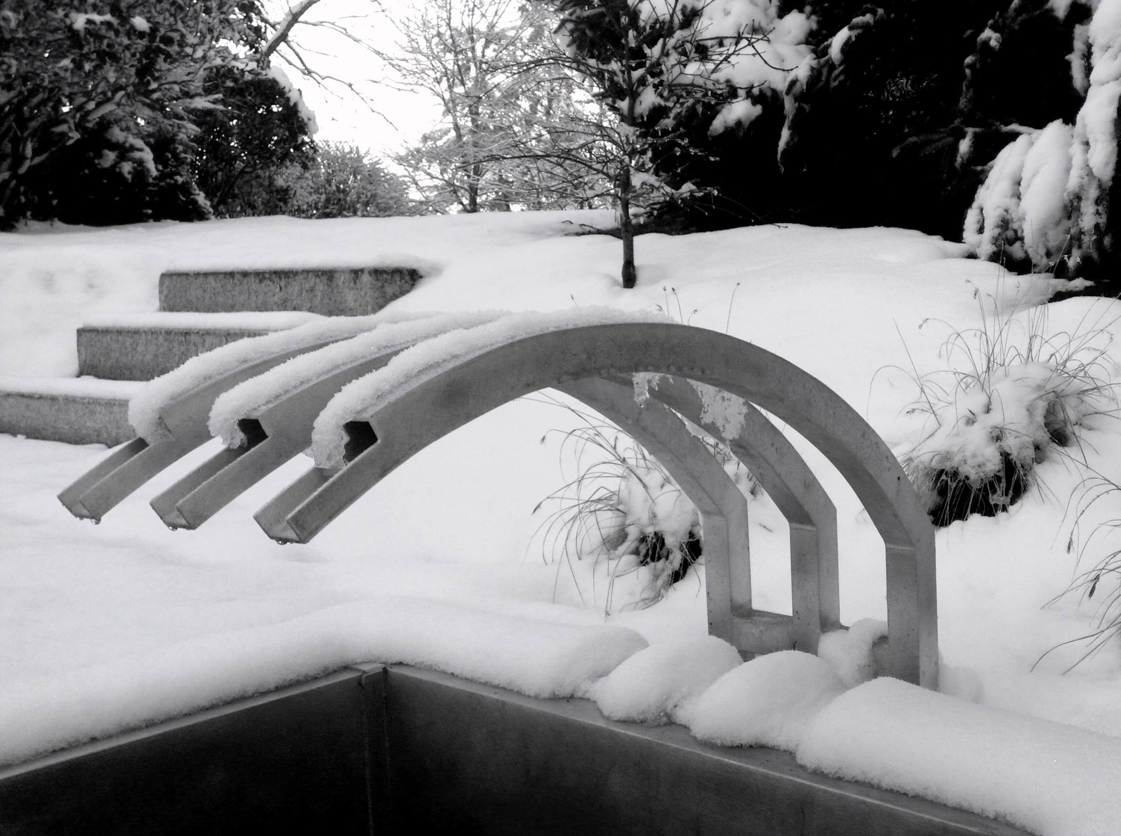 Как правильно: Организовать сбор дождевой воды