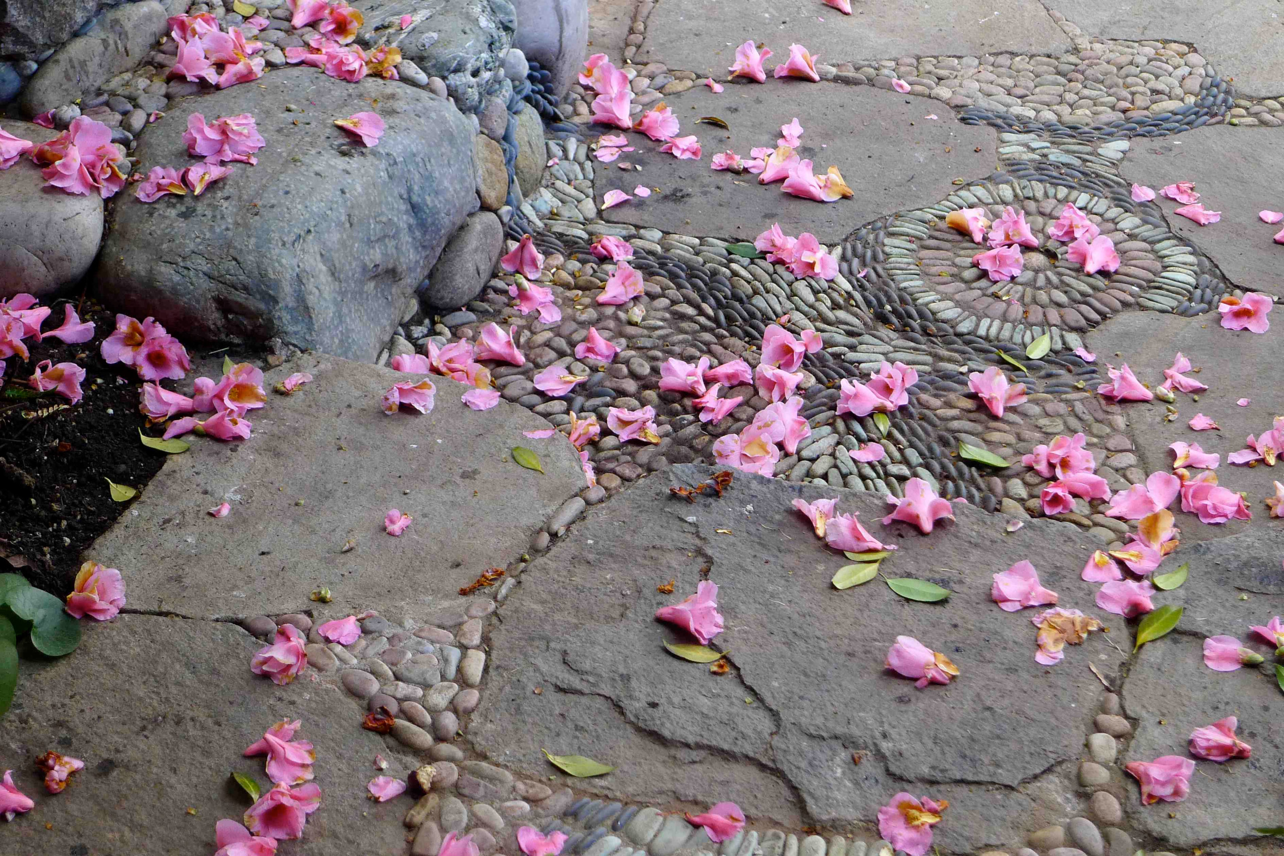 Материалы для мощения: Из чего сделать дорожку на даче