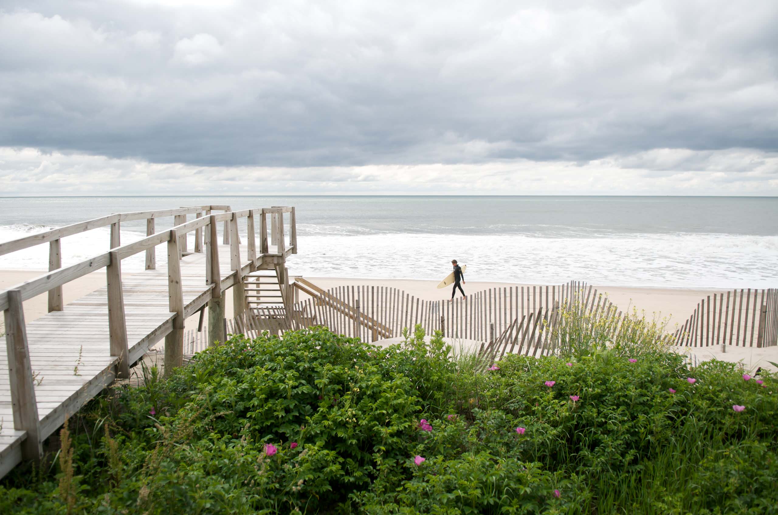 Хороший вопрос: Что посадить рядом с пирсом