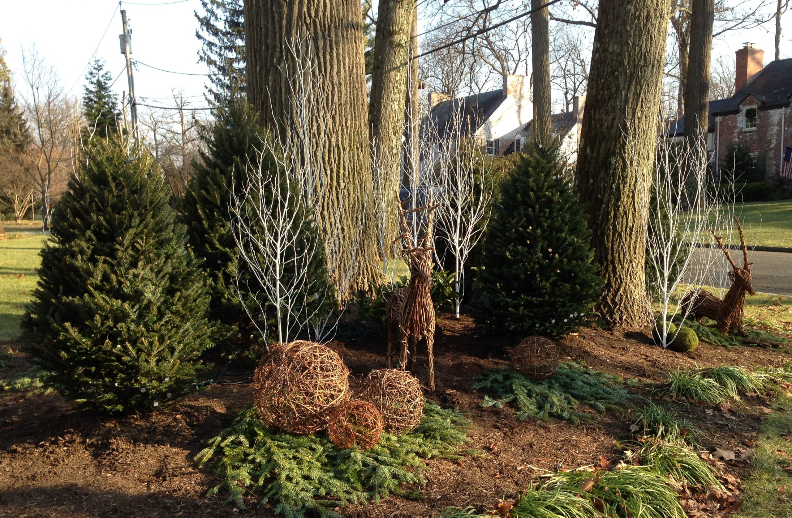 Райские кущи: Золотые правила рассадки кустарников в вашем саду