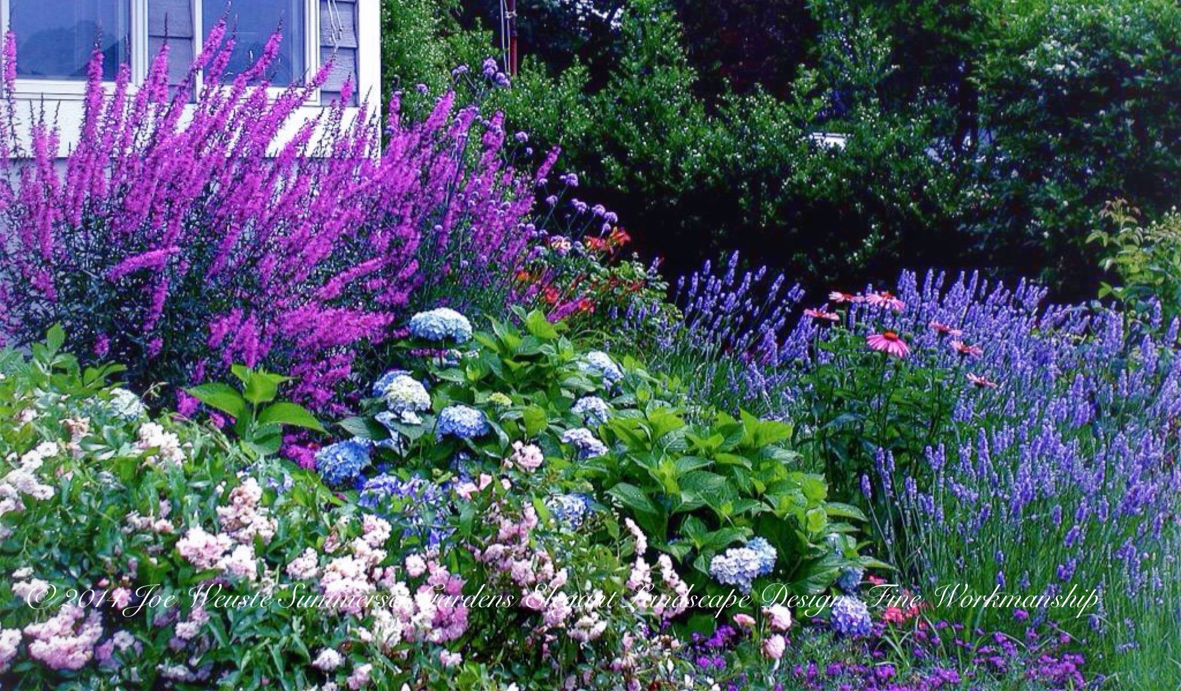 Одним цветом: Оформление участка в единой цветовой гамме