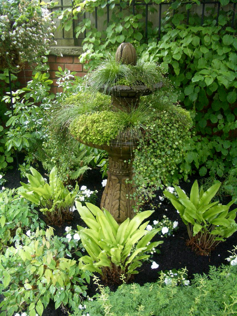 Вертикальная клумба: Полное руководство для начинающих и продолжающих