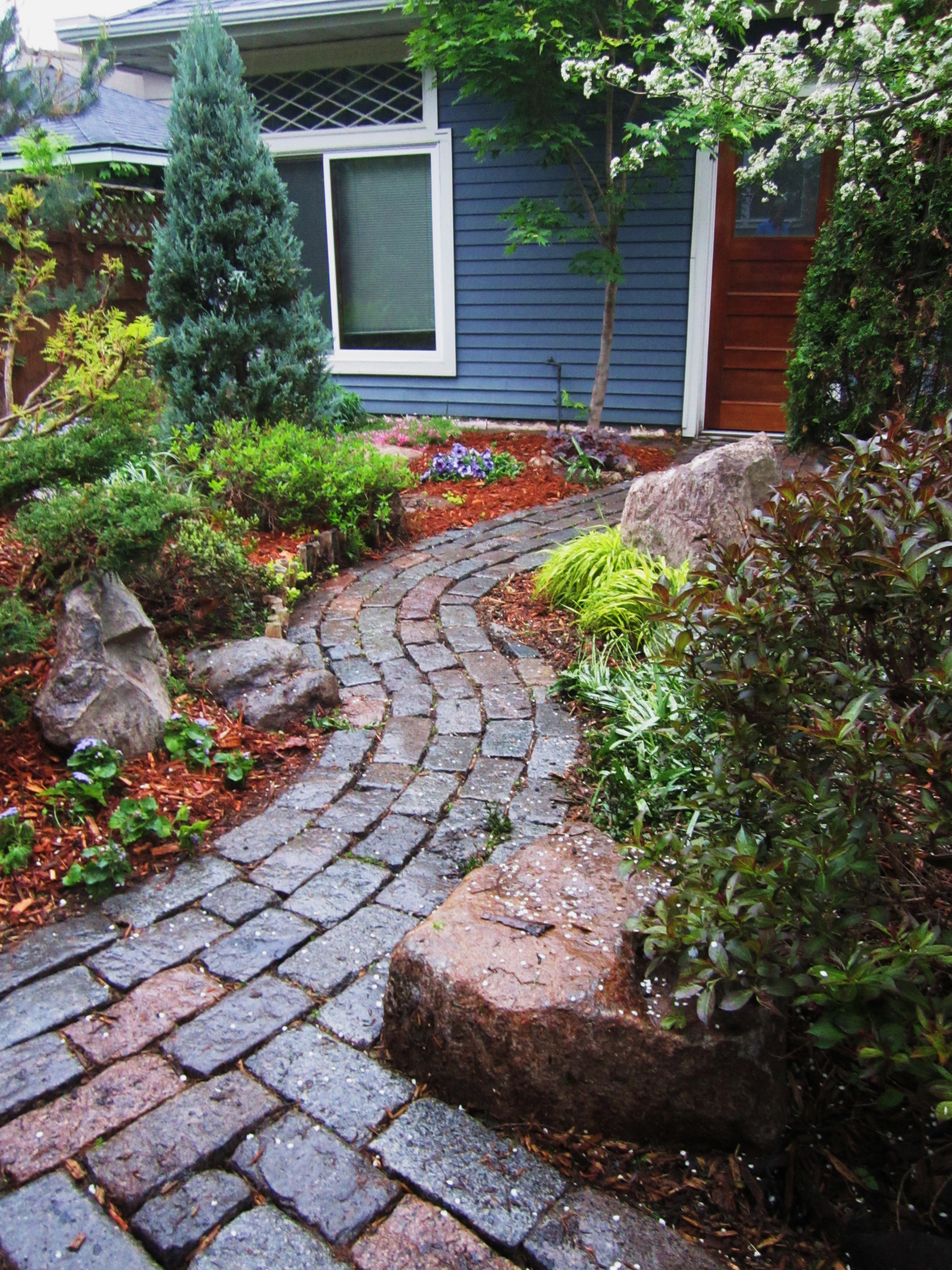 Хвойные растения в саду: Выбор и применение