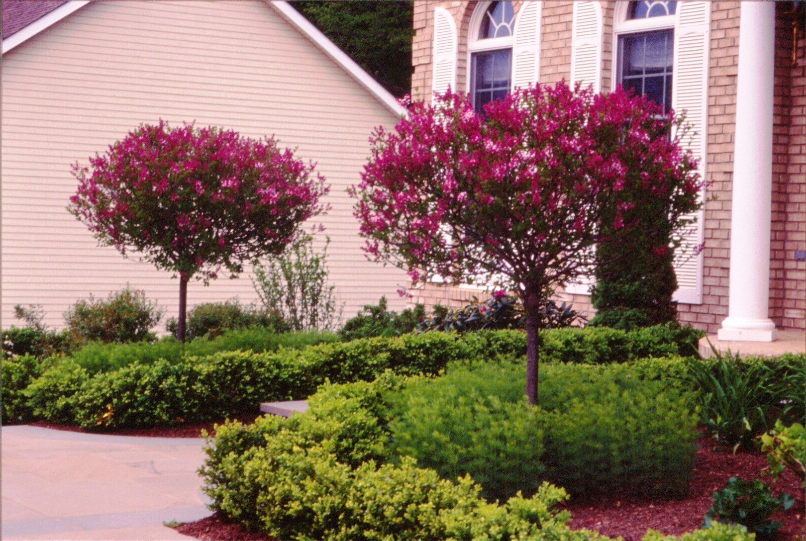 Добавьте цвета: Какой оттенок выбрать для забора?