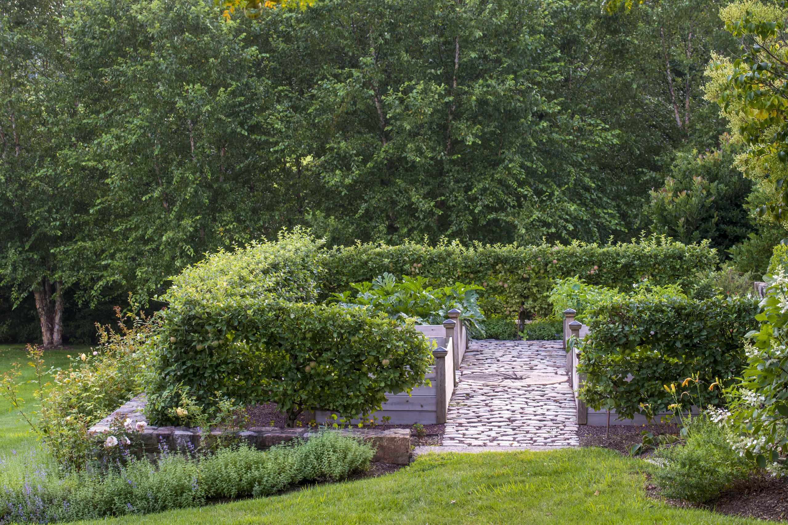 Как стоит городить огород: 4 подхода к выращиванию овощей