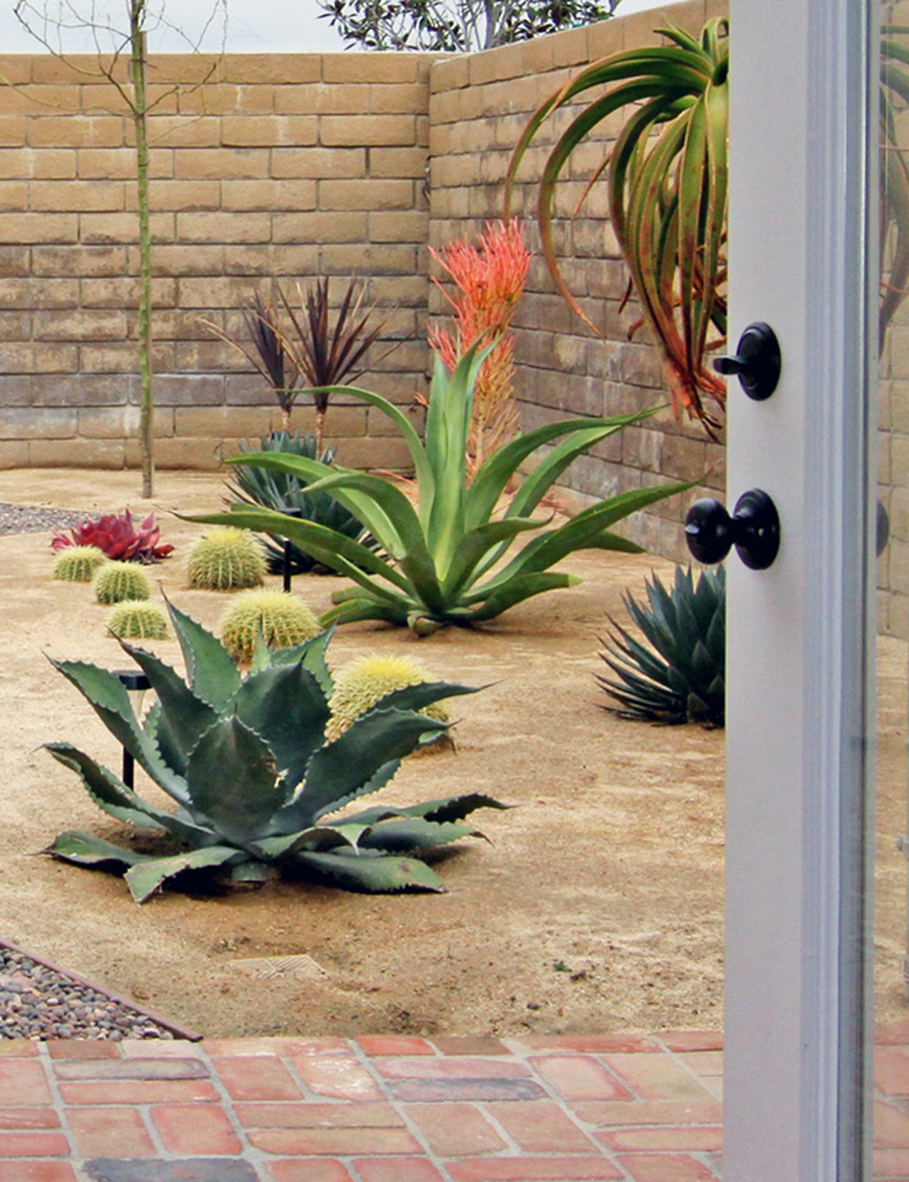 Ни пуха, ни пера: Как быть, если в доме — аллергик