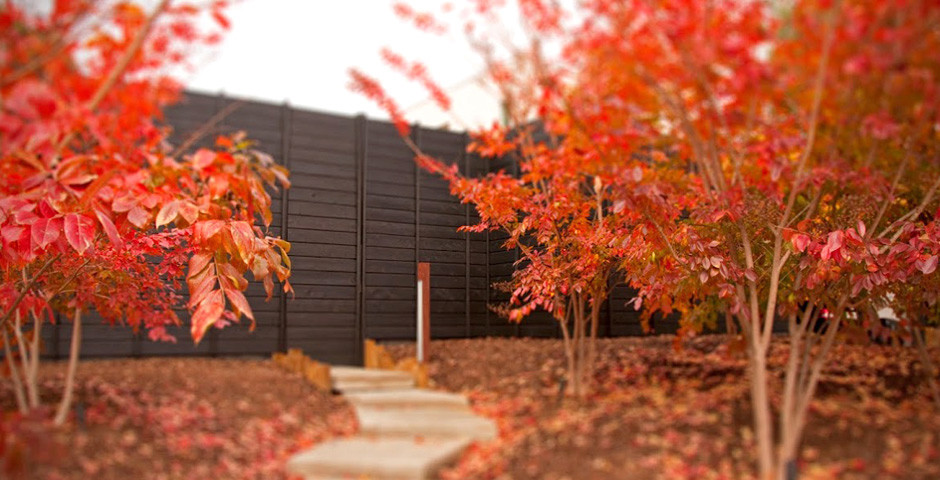 Добавьте цвета: Какой оттенок выбрать для забора?