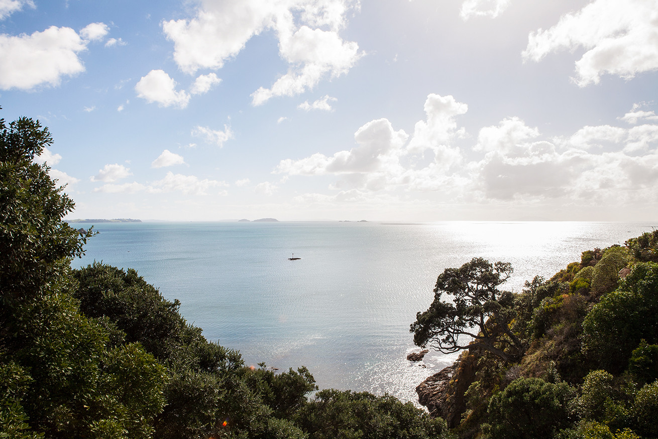 Houzz Новая Зеландия: Дом на скале под раскидистым деревом