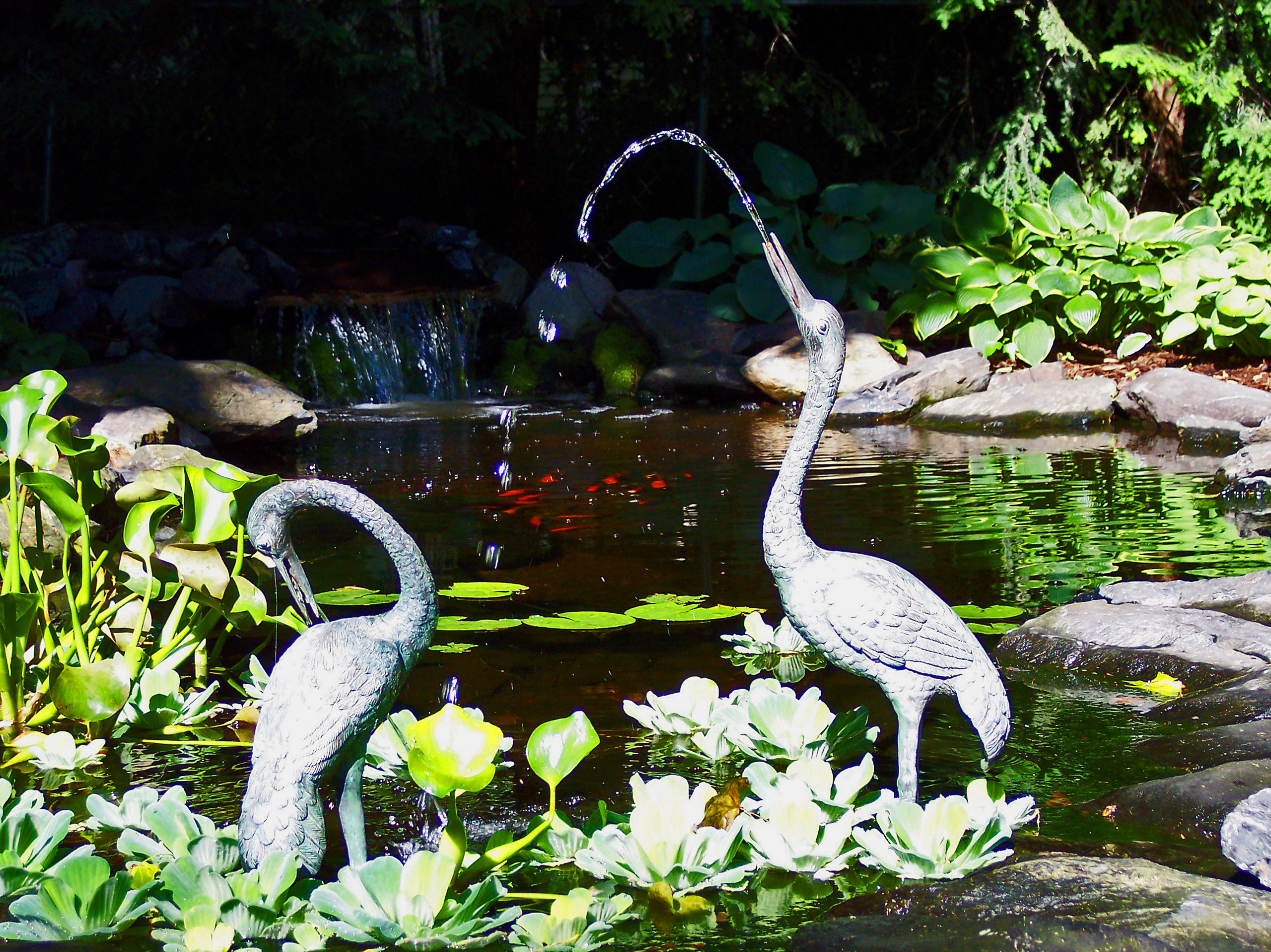 Солнце мое: Как сделать план дачного участка, исходя из движения солнца