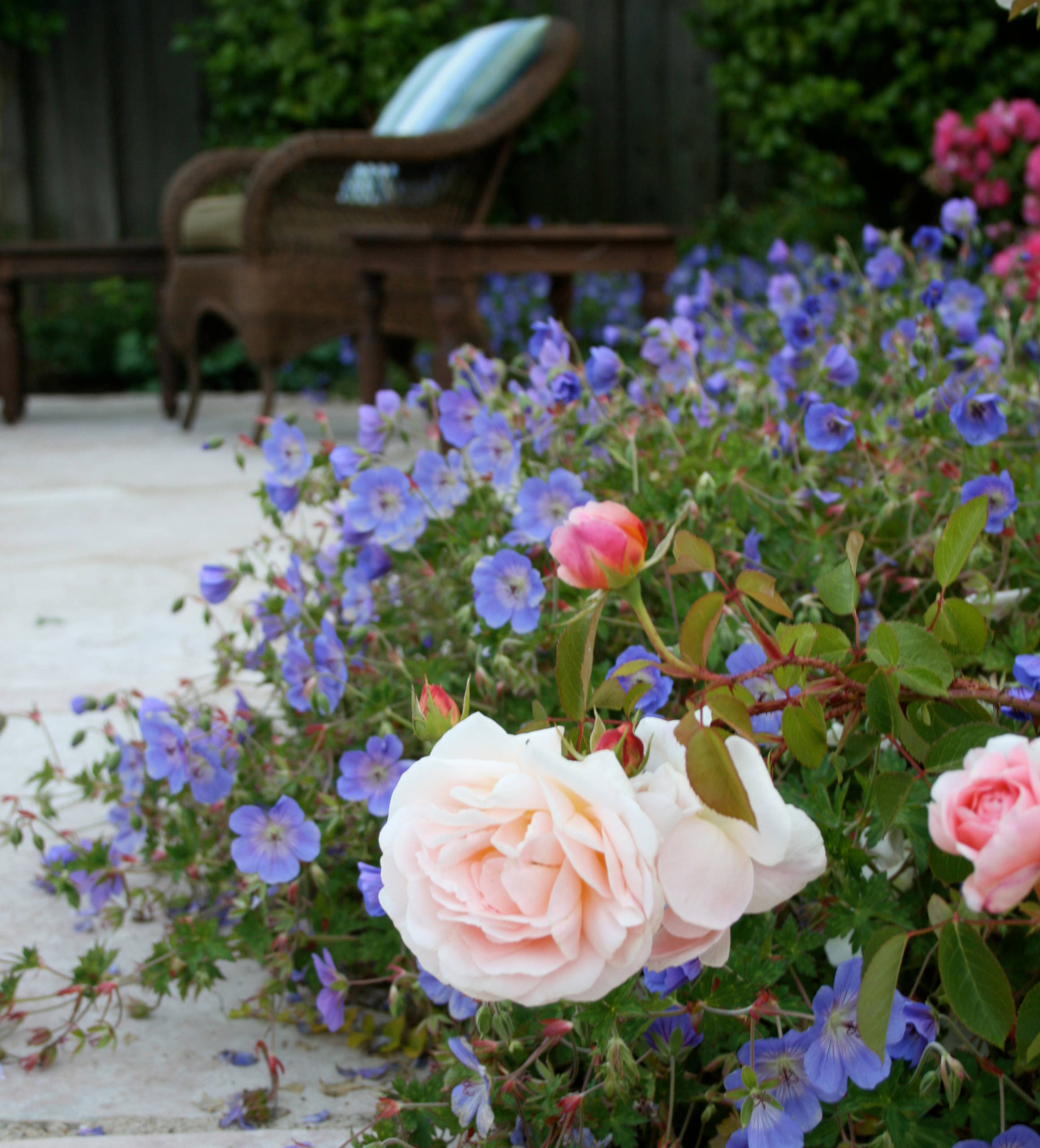 Работа над ошибками: Что пошло не так на клумбе