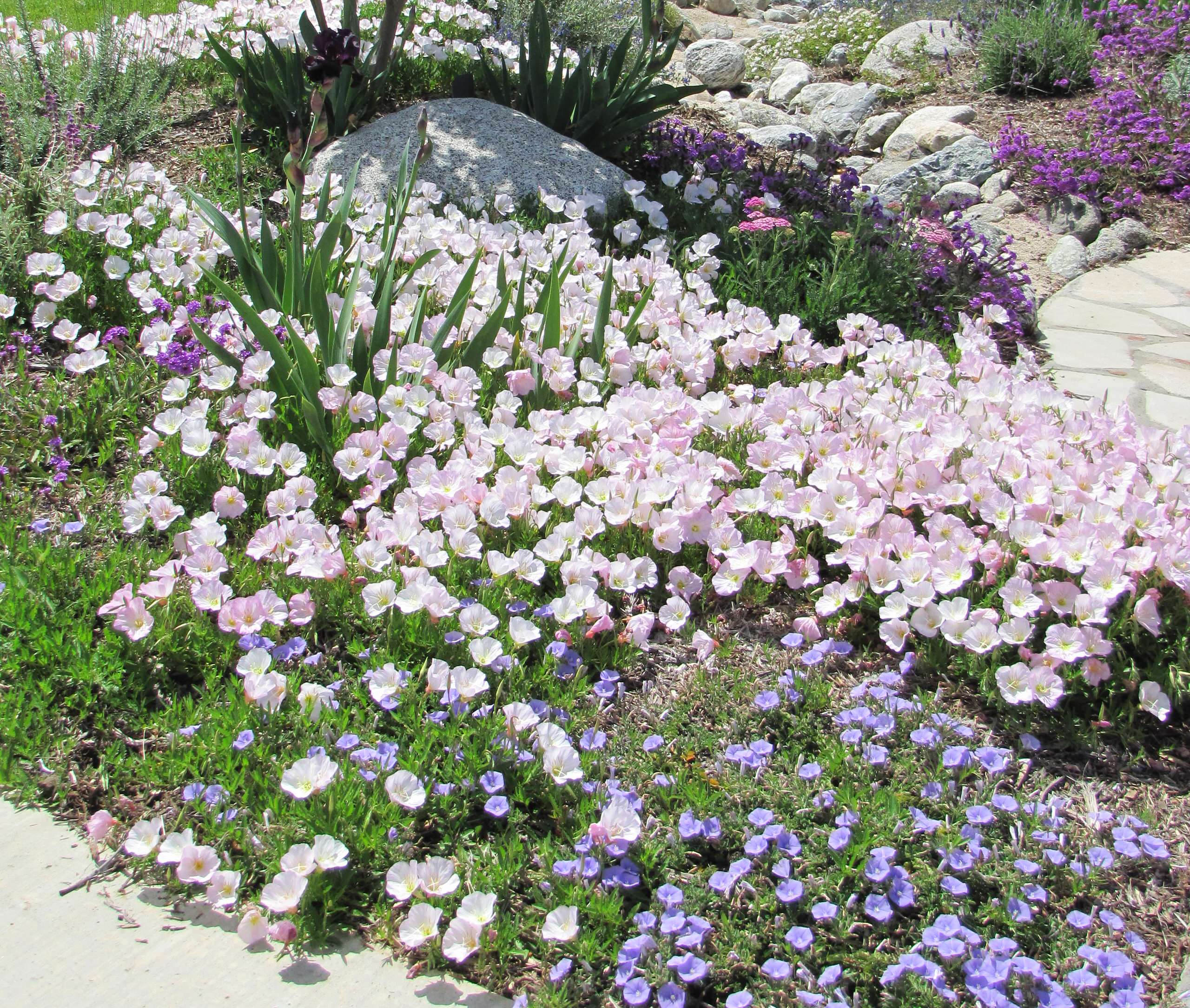 Практикум: Как создать сухой ручей на даче или в саду