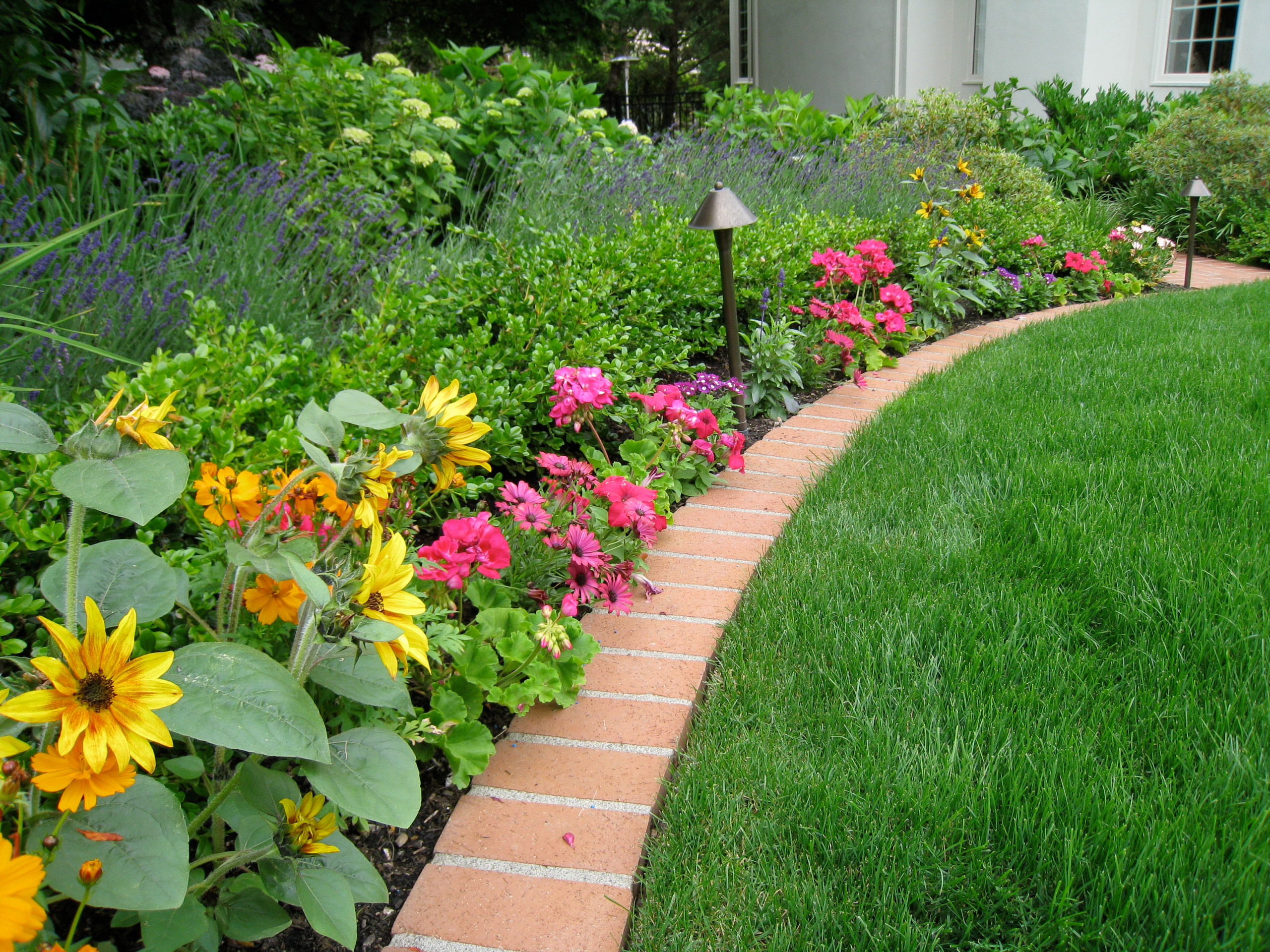 Дети в саду: Обустройство детской клумбы и выбор растений