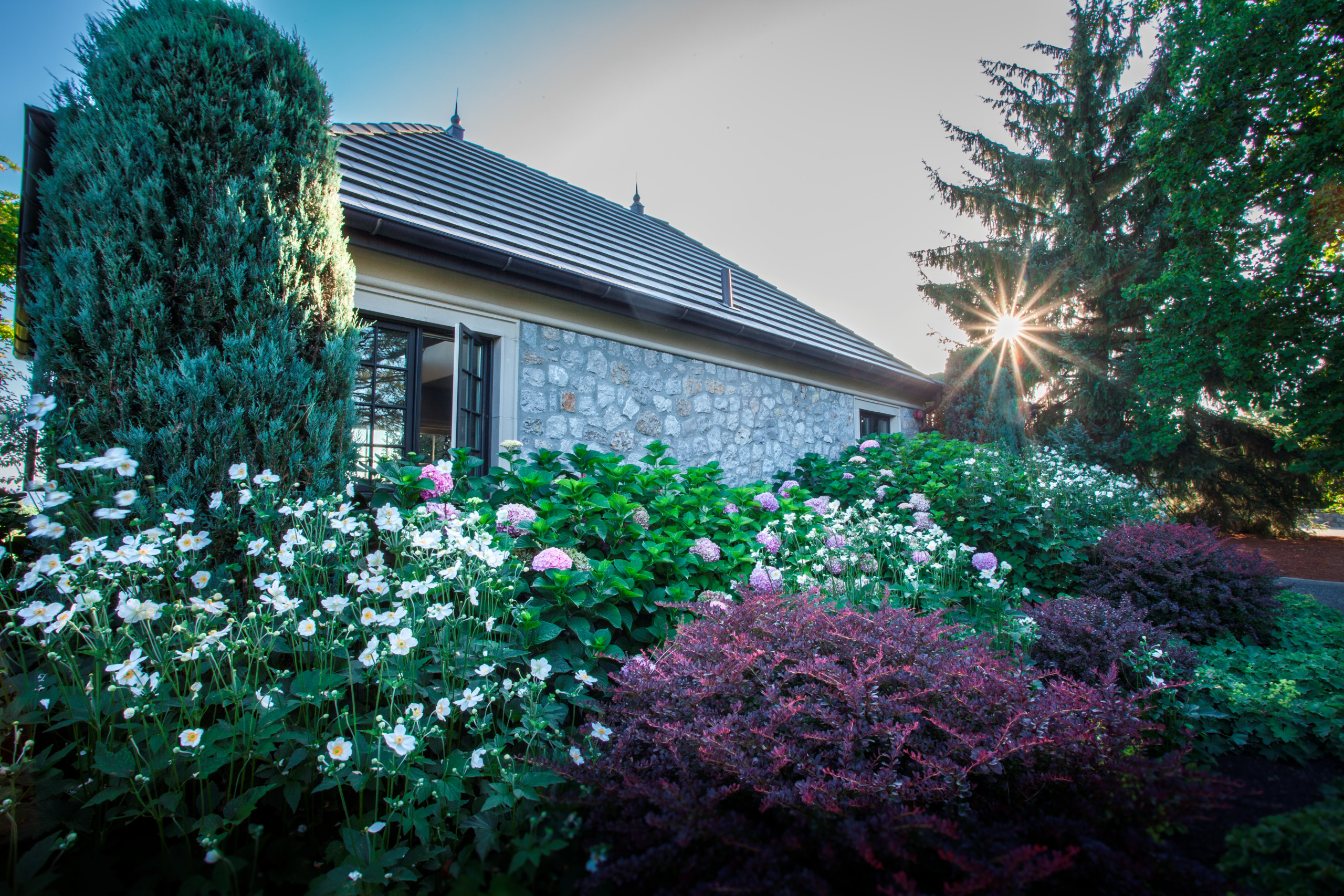 Сад без клумб: Оставляем только деревья и кустарники