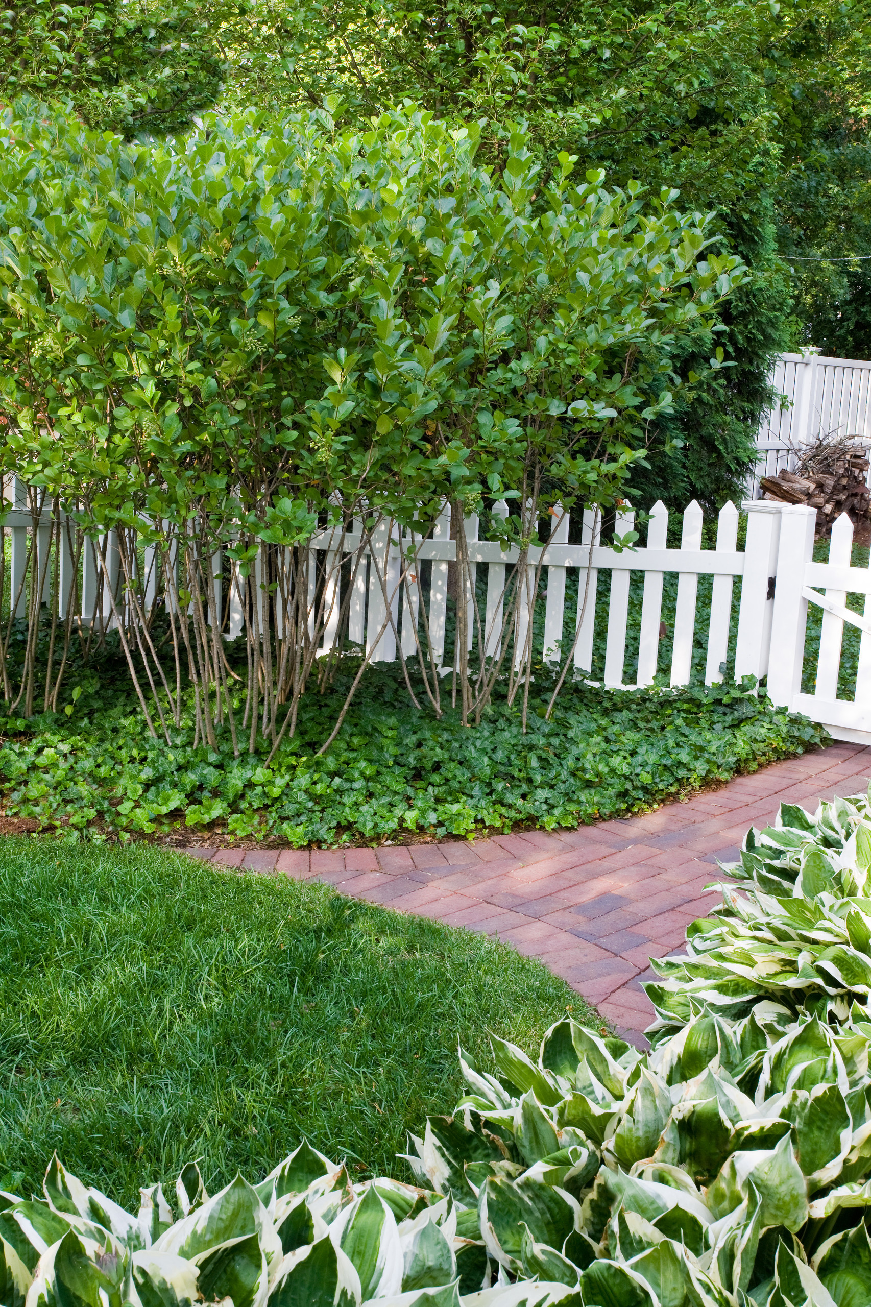 Тропинки в саду: Как их планировать