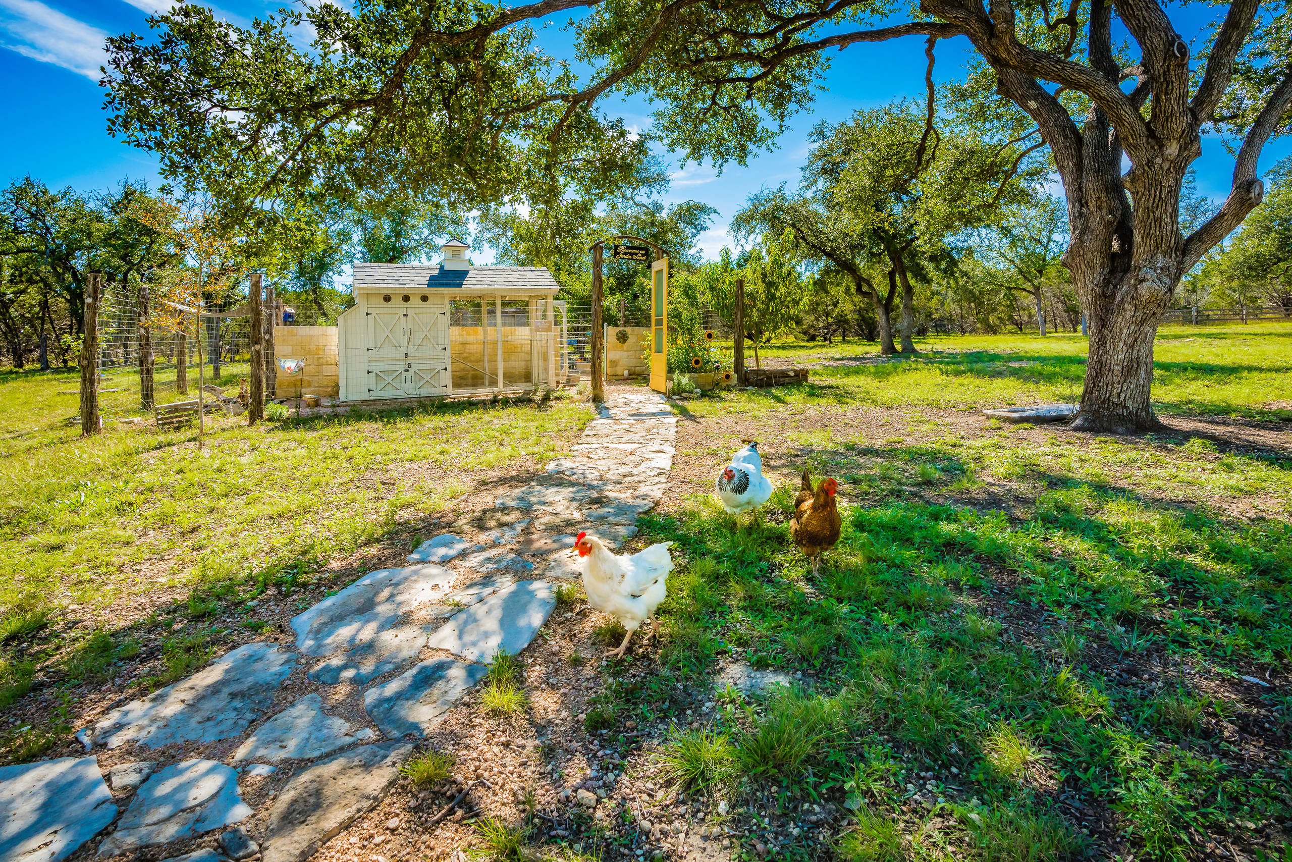 Объясняет юрист: Что можно [и нельзя] строить на участке без разрешения