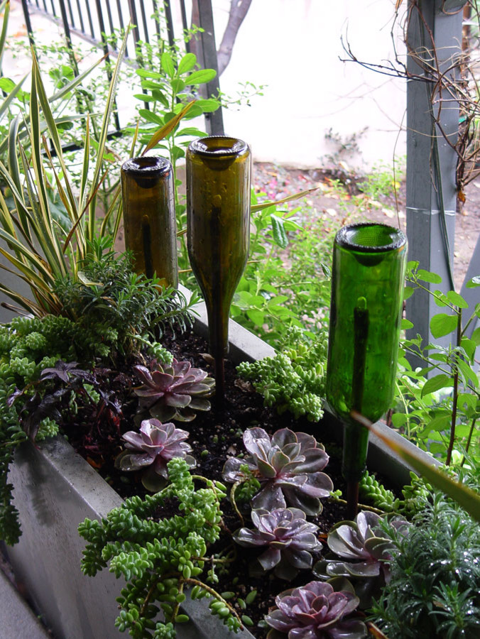 Микротренды: Послание из бутылки