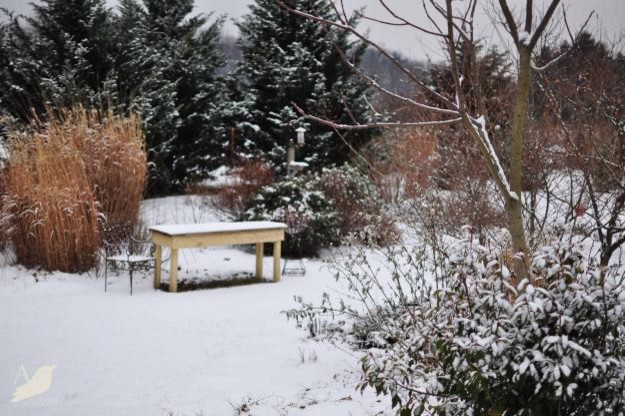 Хороший вопрос: Как создать жизнестойкий сад
